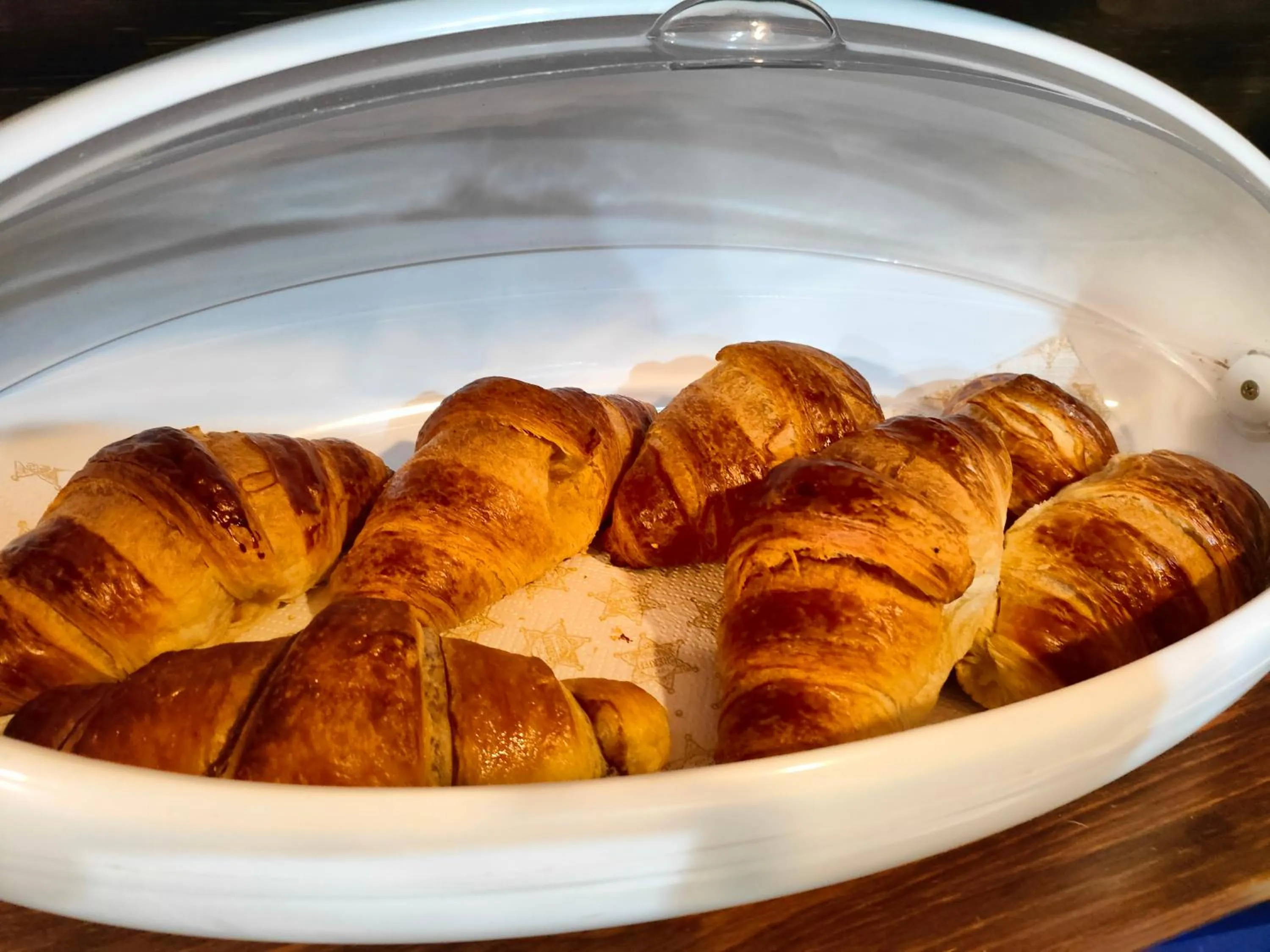 Grotto's Paradise B&B