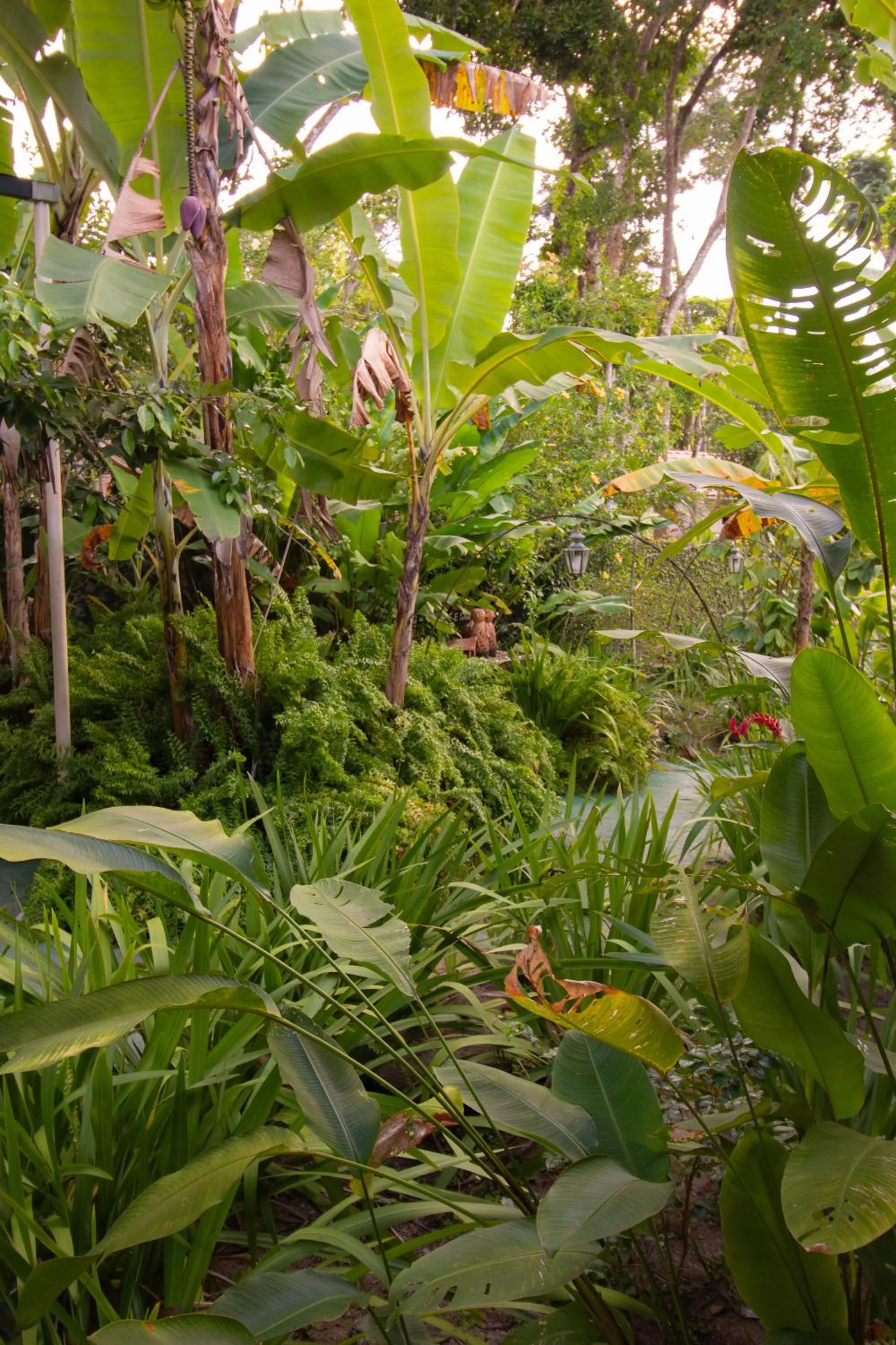 Garden in Pousada do Mineiro