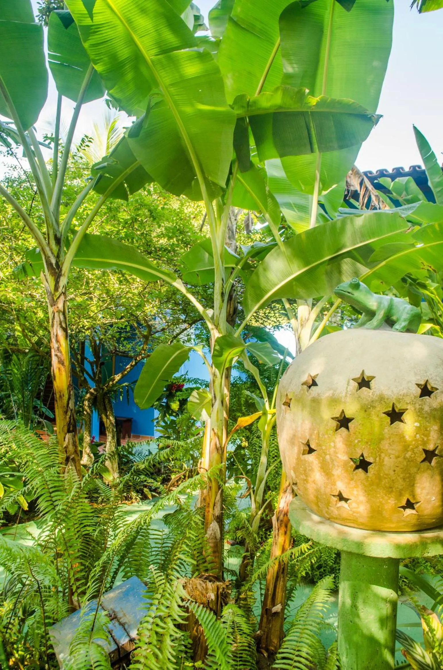 Garden view in Pousada do Mineiro