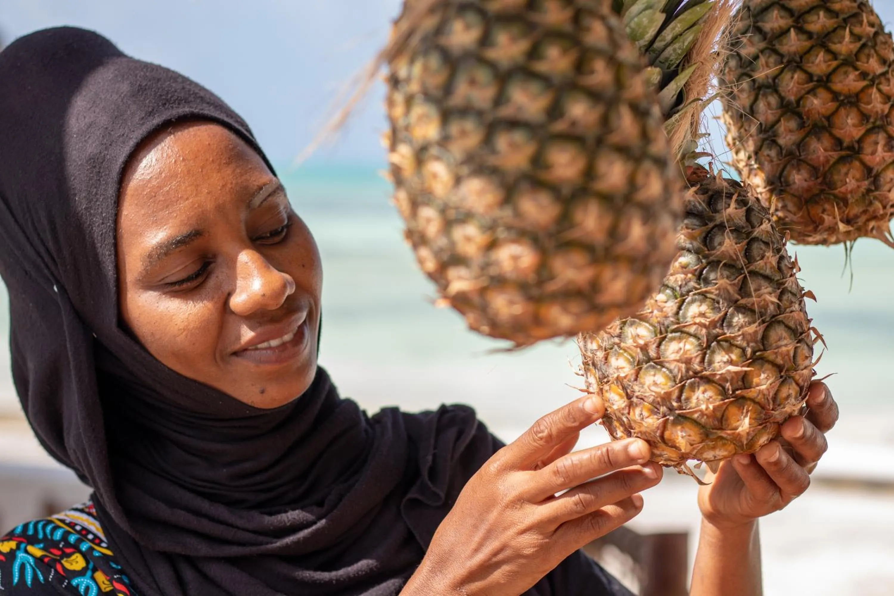 Day in Visitor's Inn