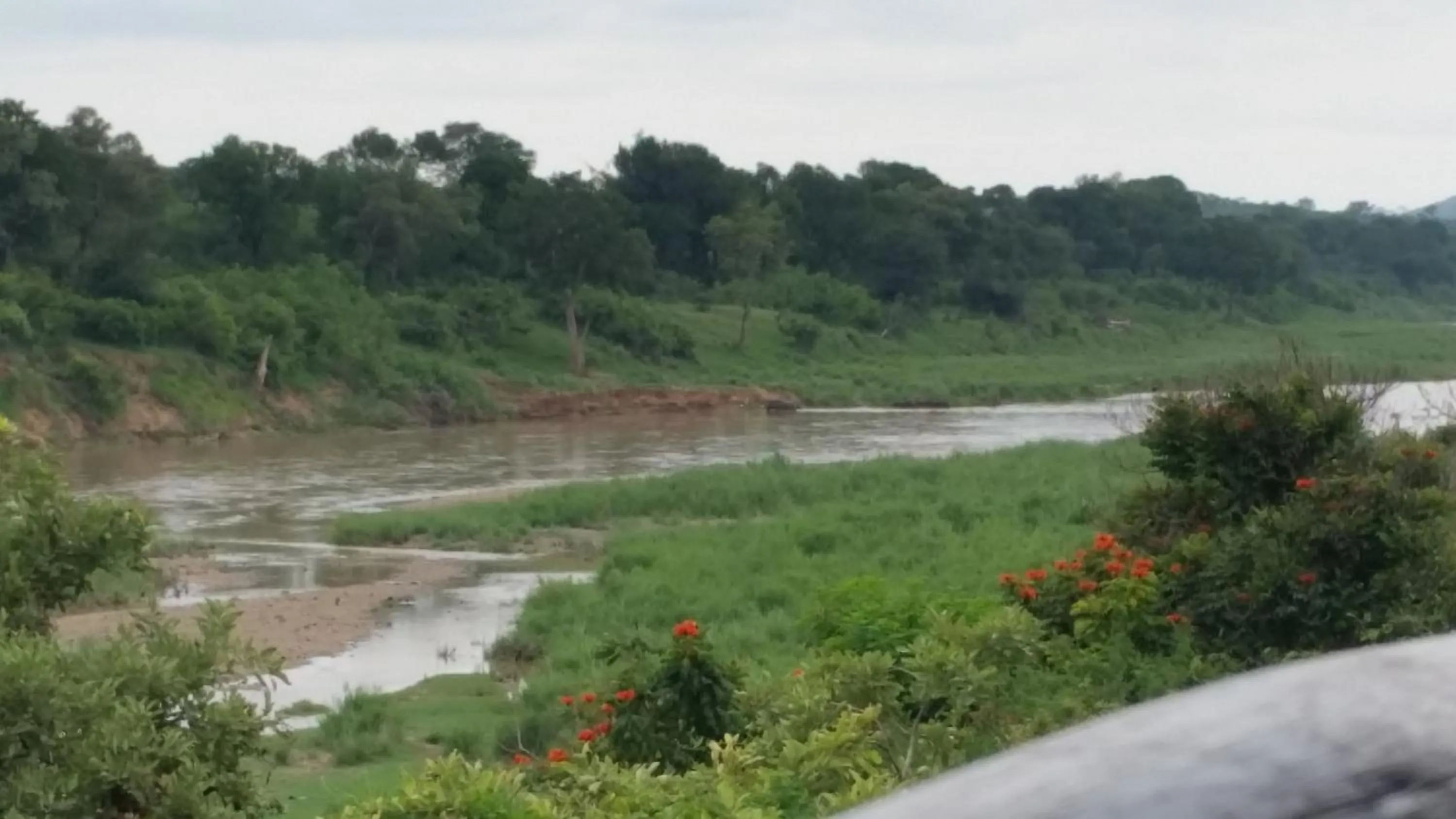 Bird's eye view in Kruger View Chalets