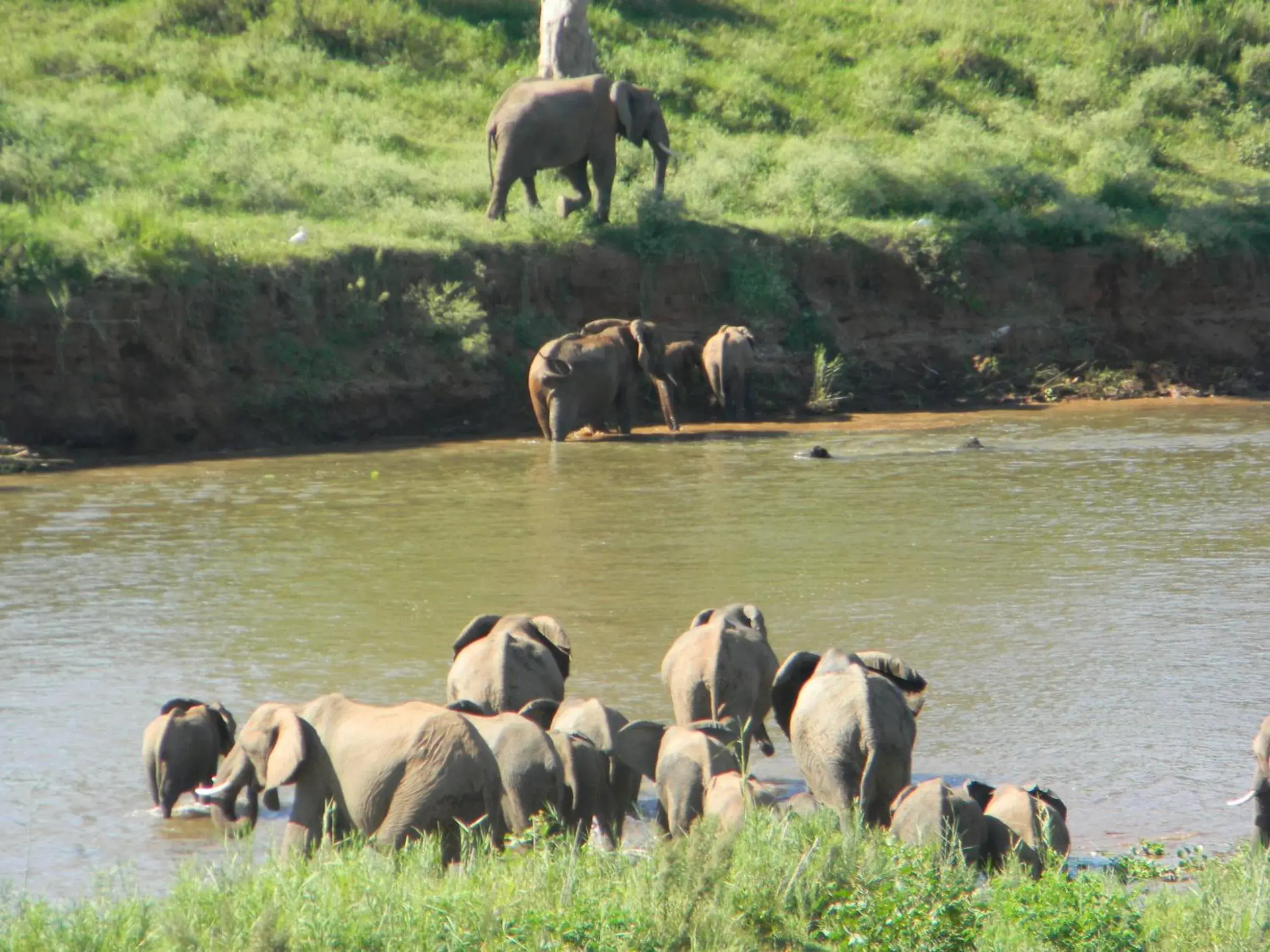 Two-Bedroom Chalet with River View - single occupancy in Kruger View Chalets Two-Bedroom Chalet with River View - single occupancy in Kruger View Chalets