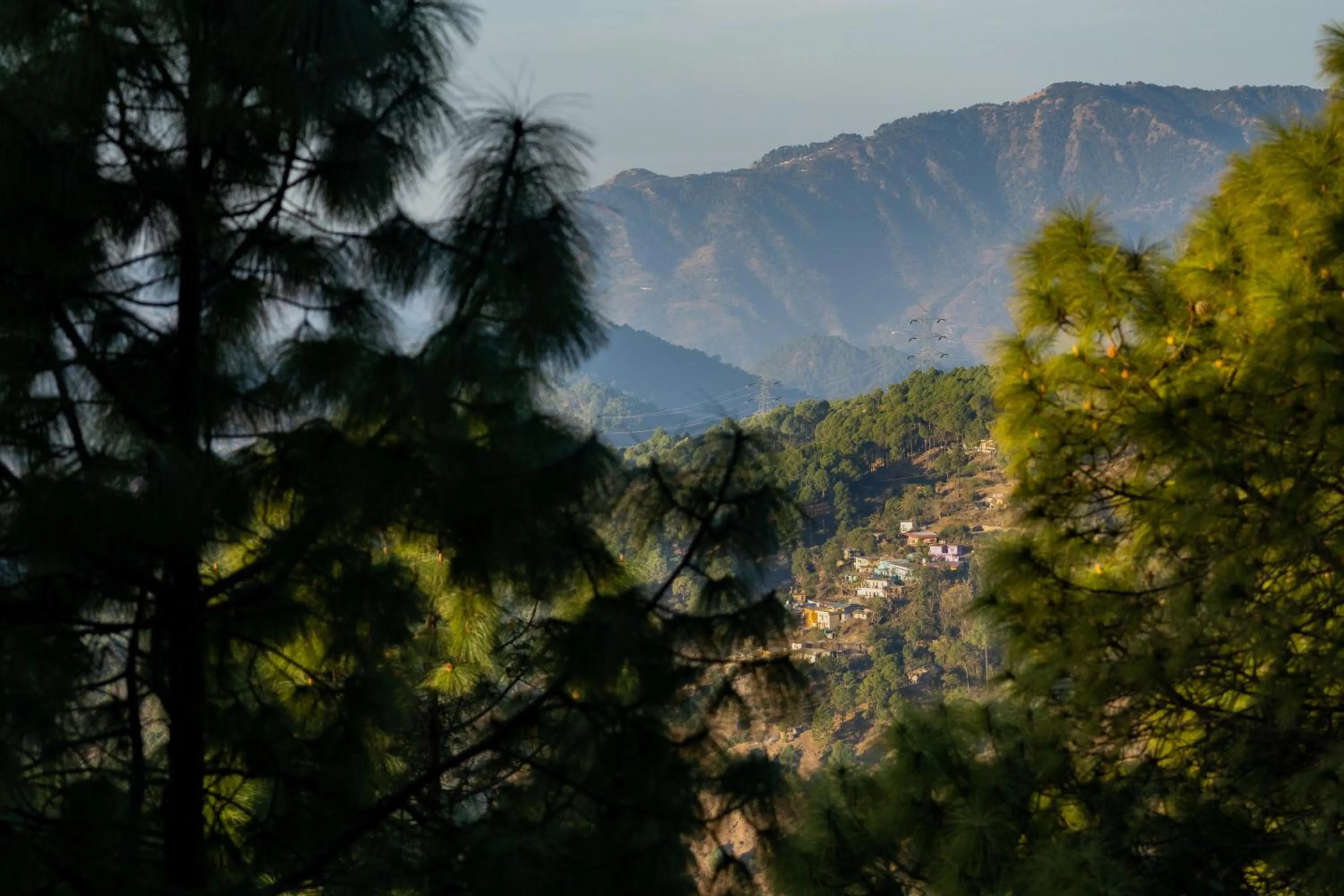 View (from property/room) in BluSalzz Vine Hills Resort, Manali