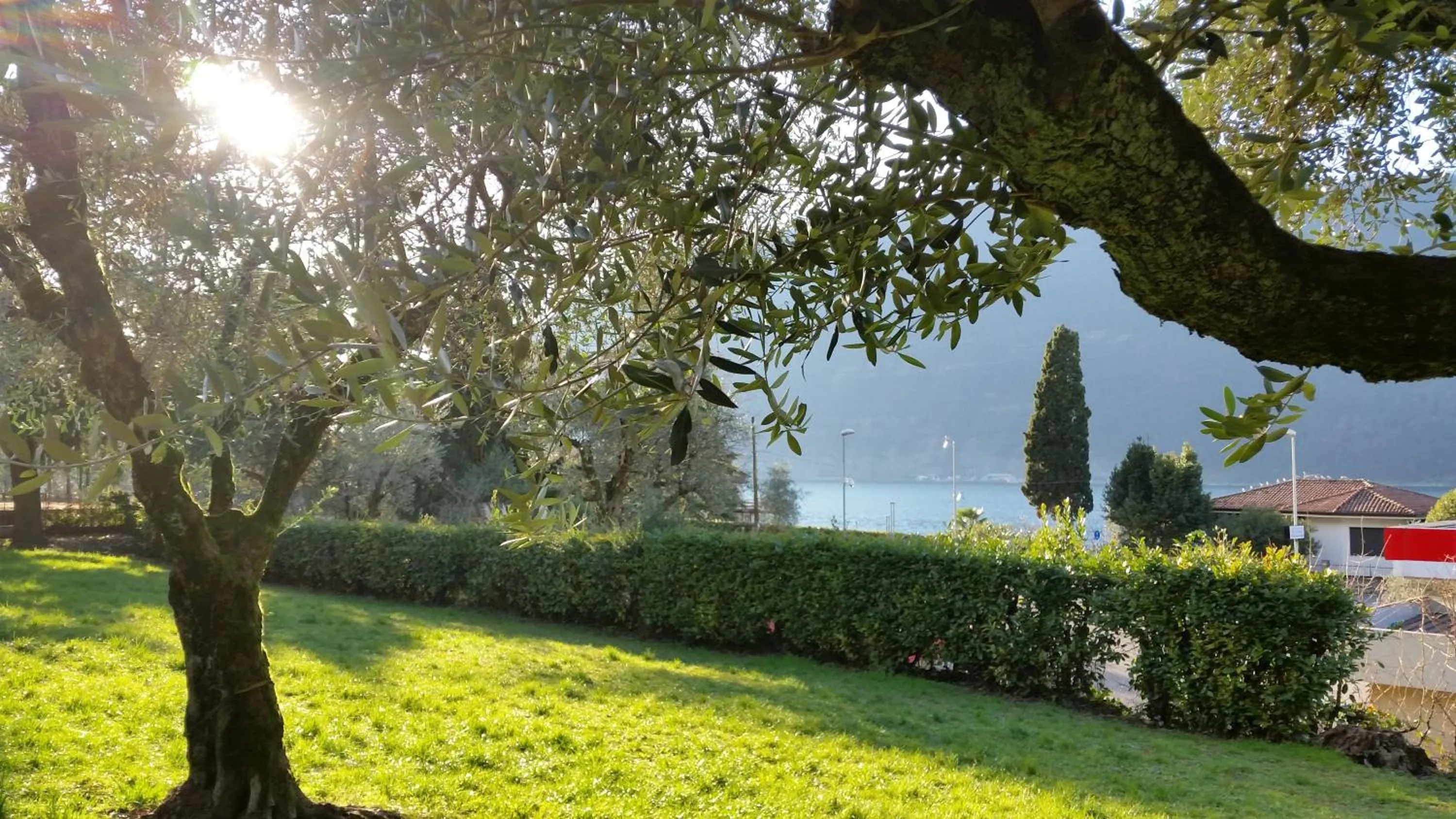 Garden in Villa Leilani B&B