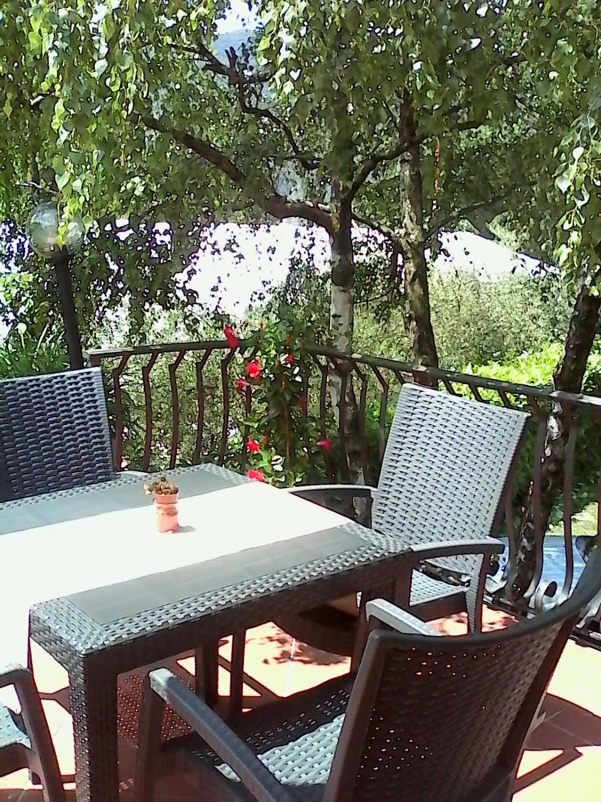 Balcony/Terrace in Villa Leilani B&B