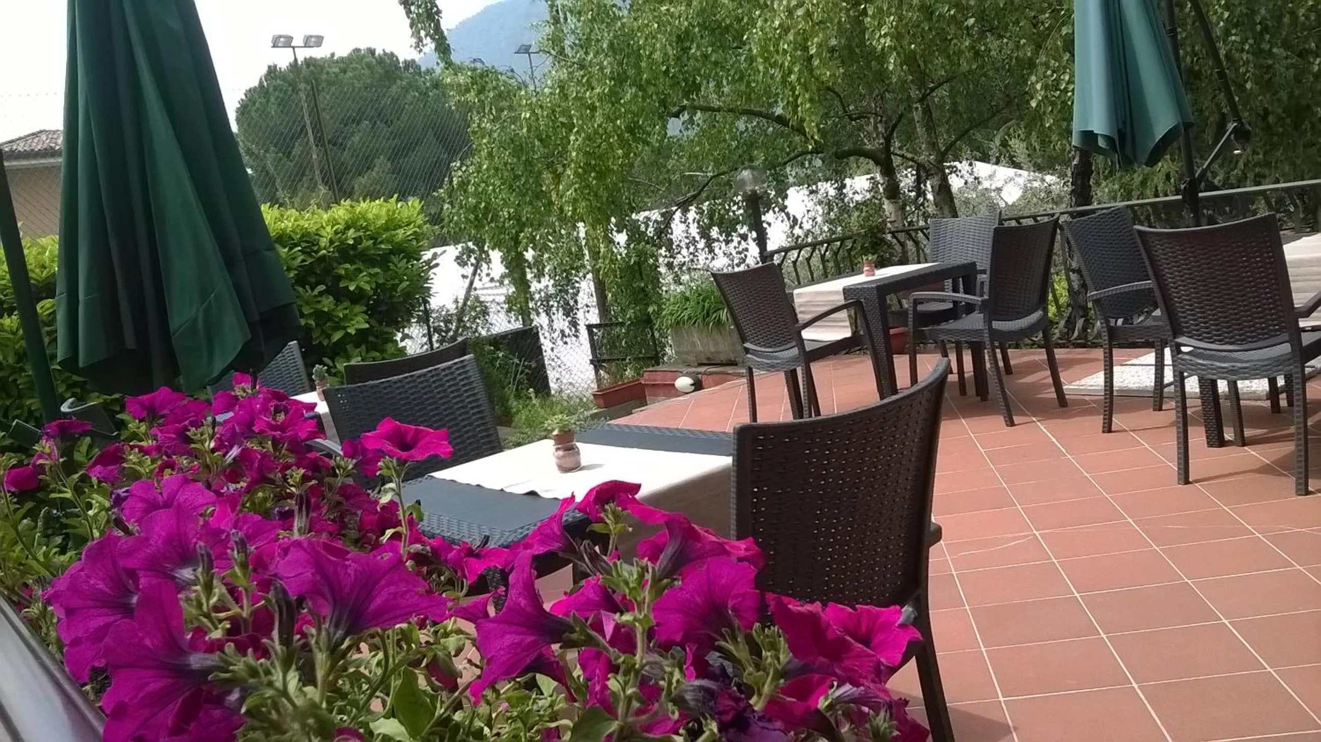 Balcony/Terrace in Villa Leilani B&B