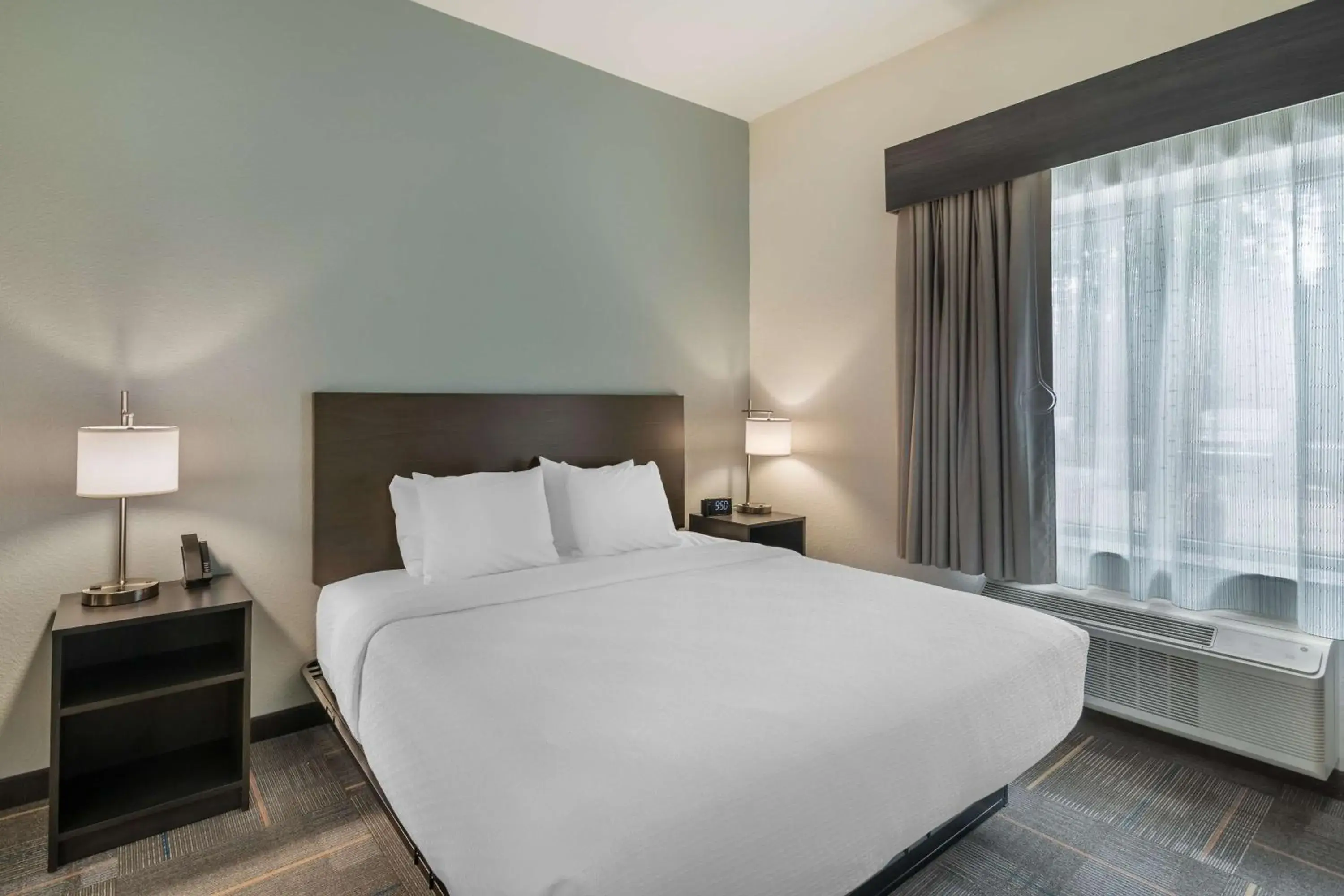 King Suite with Roll-In Shower, Sofa Bed and Full Kitchen - Disability Access/Non-Smoking in Best Western Plus Bluffton/Hilton Head Hotel King Suite with Roll-In Shower, Sofa Bed and Full Kitchen - Disability Access/Non-Smoking in Best Western Plus Bluffton/Hilton Head Hotel