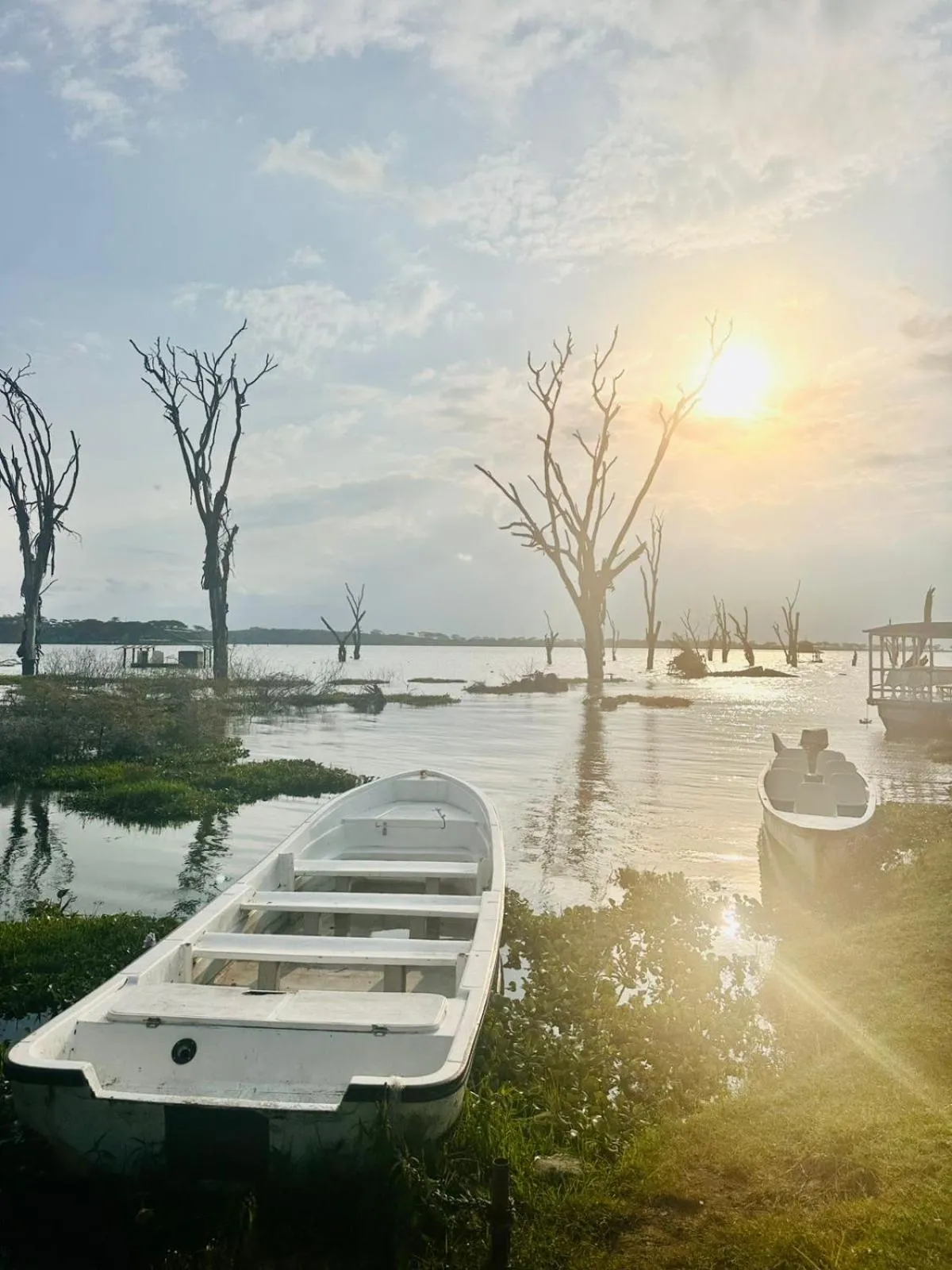 Burch's Resort Naivasha