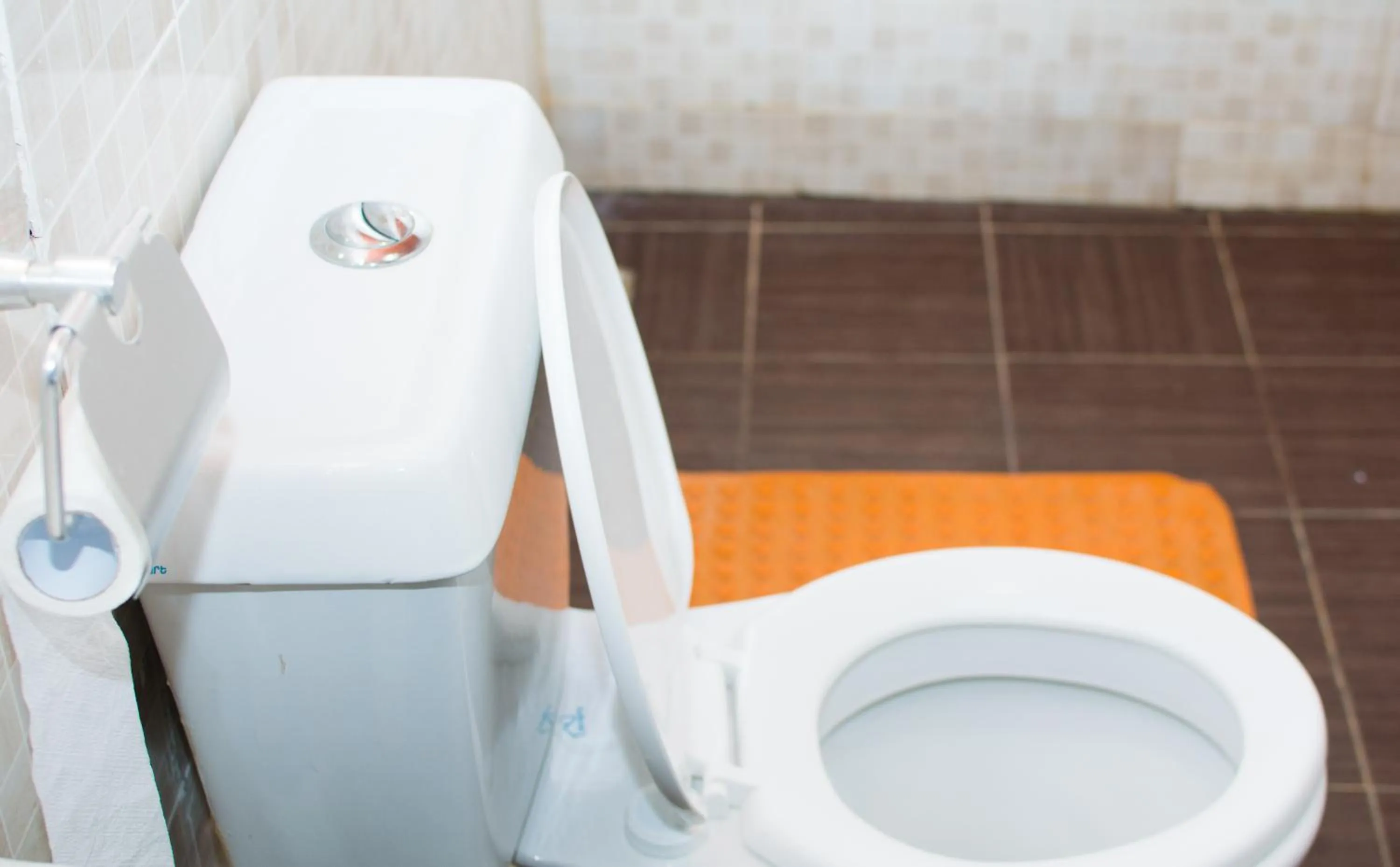 Toilet in Burch's Resort Naivasha