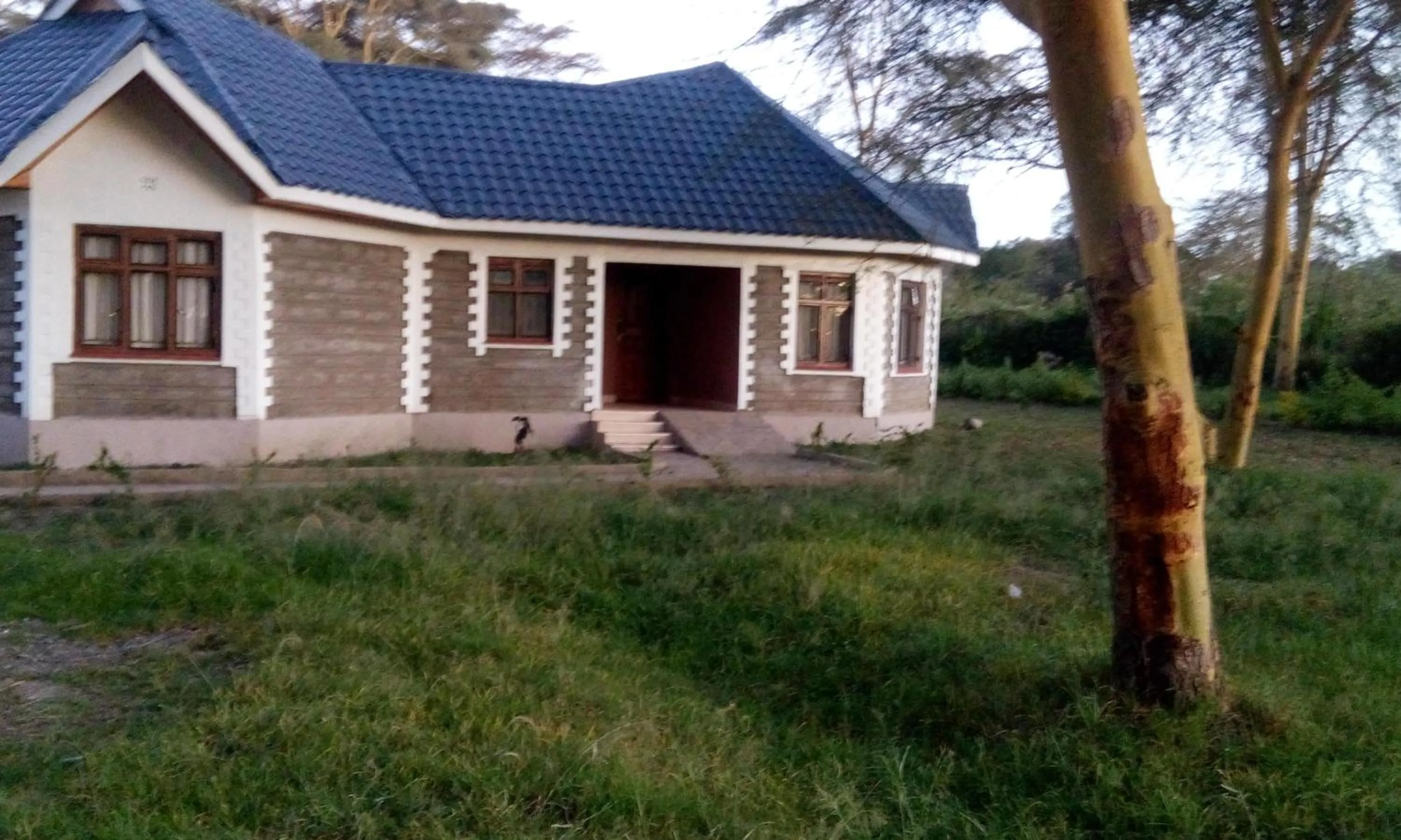 On site in Burch's Resort Naivasha