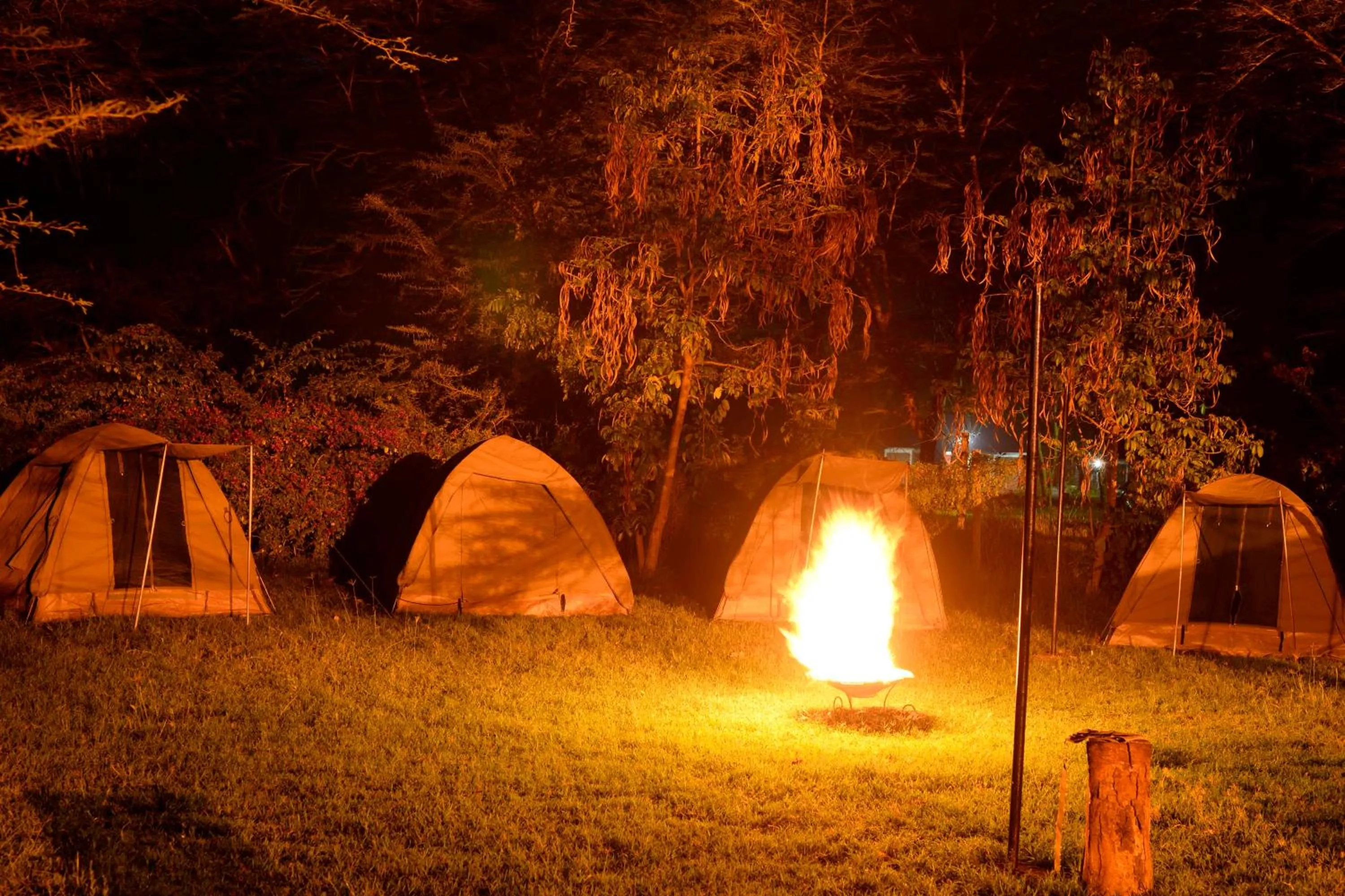 Bed in Burch's Resort Naivasha