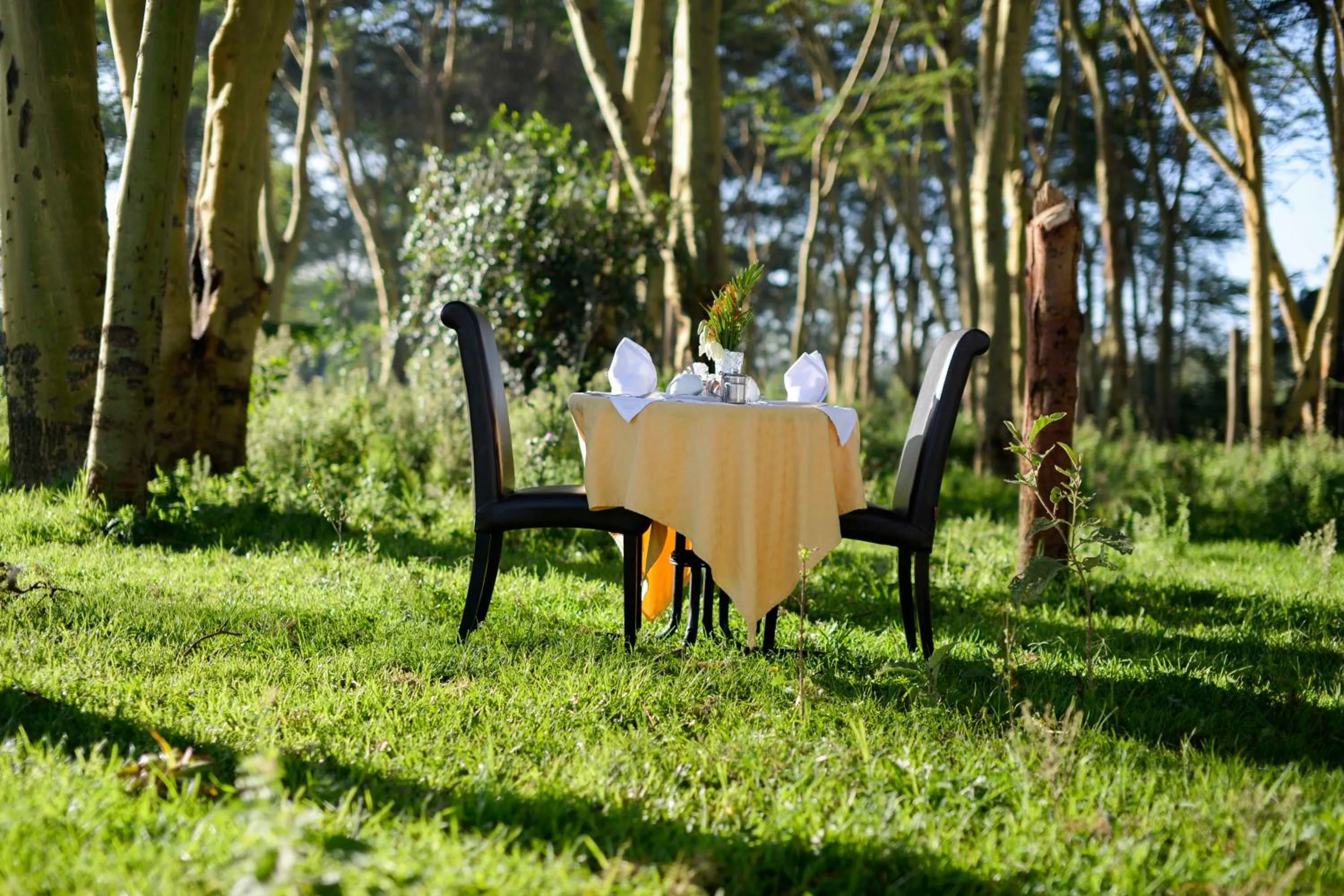 Restaurant/places to eat in Burch's Resort Naivasha
