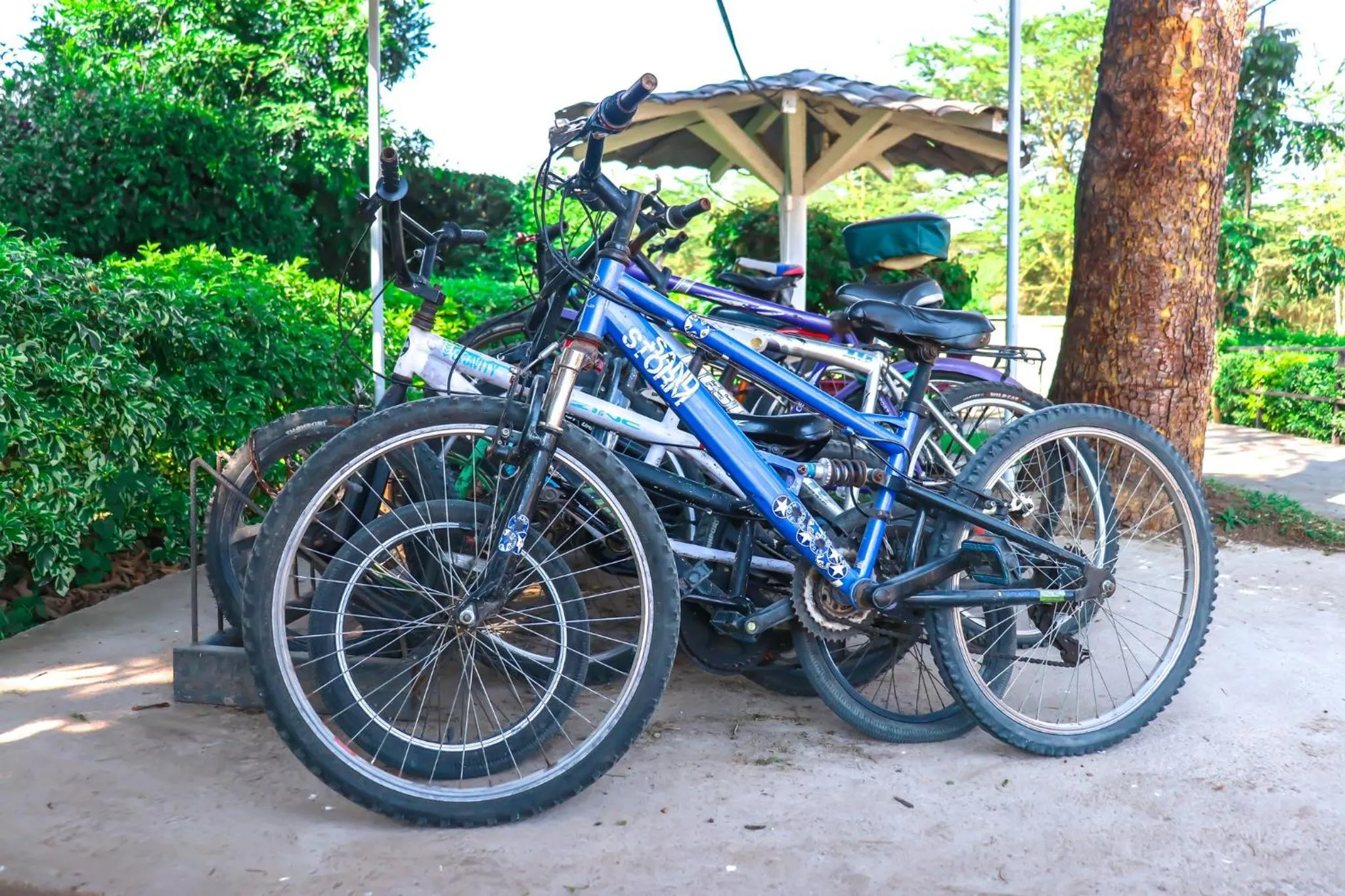 Activities in Burch's Resort Naivasha