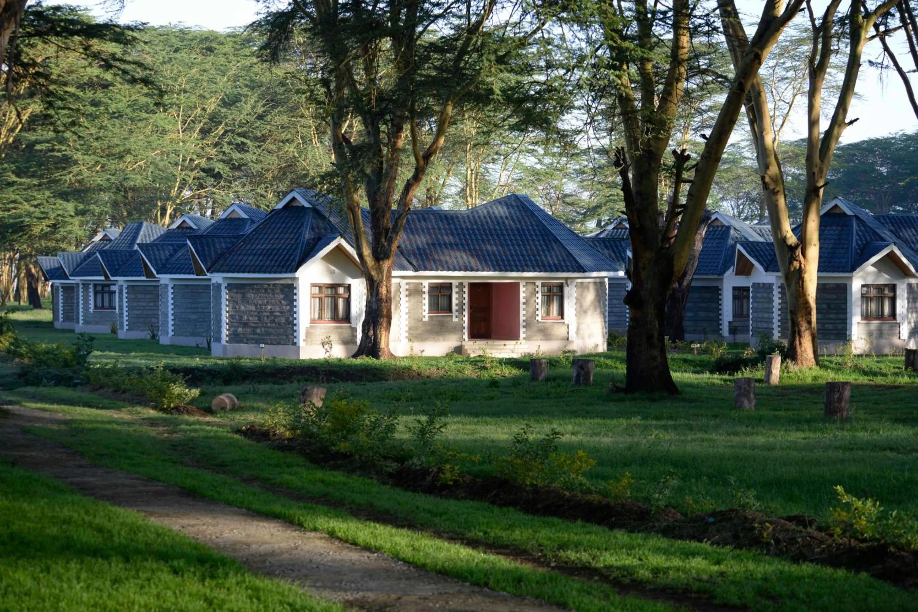 Other in Burch's Resort Naivasha