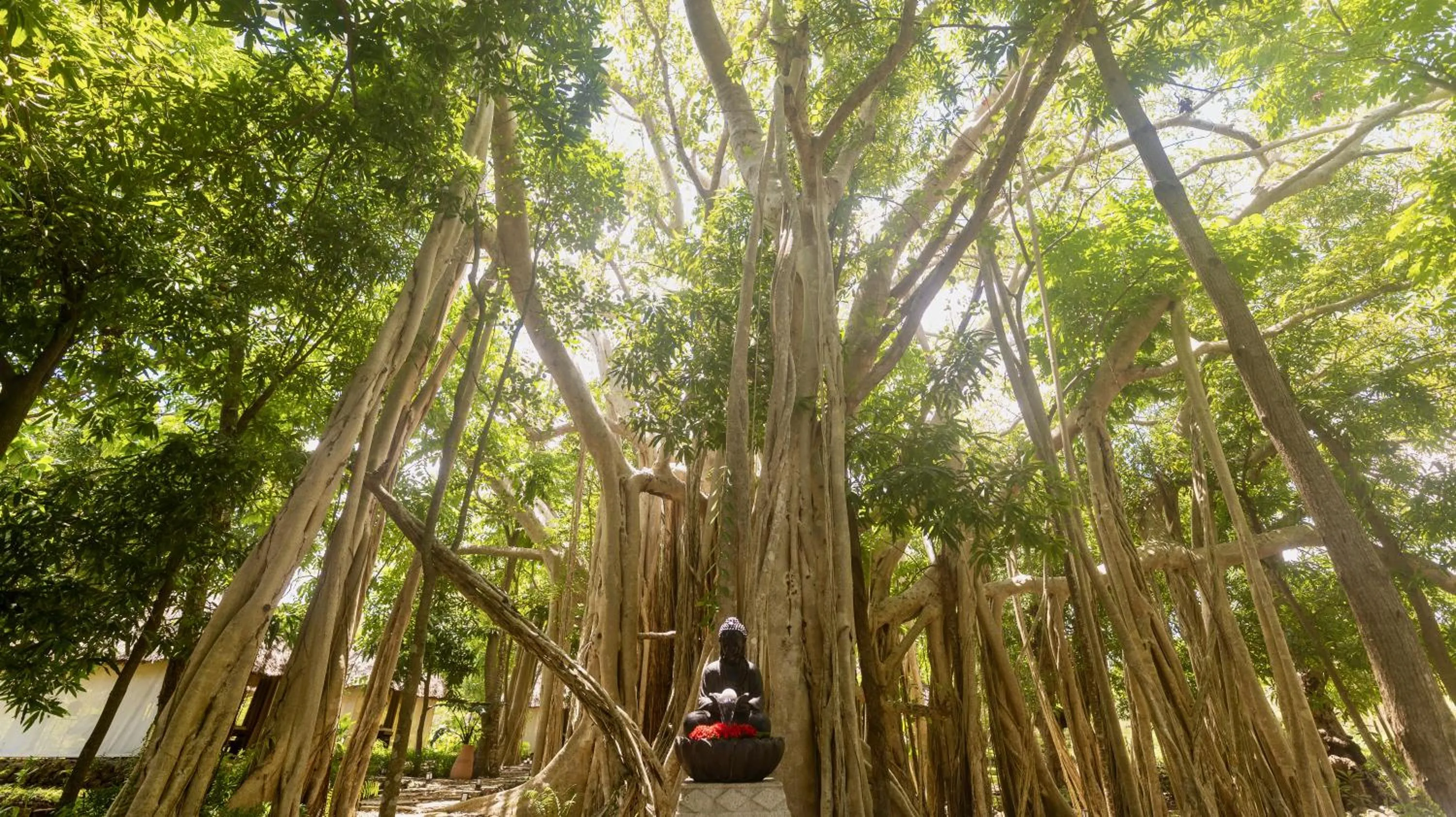 Natural landscape in Home The Residence