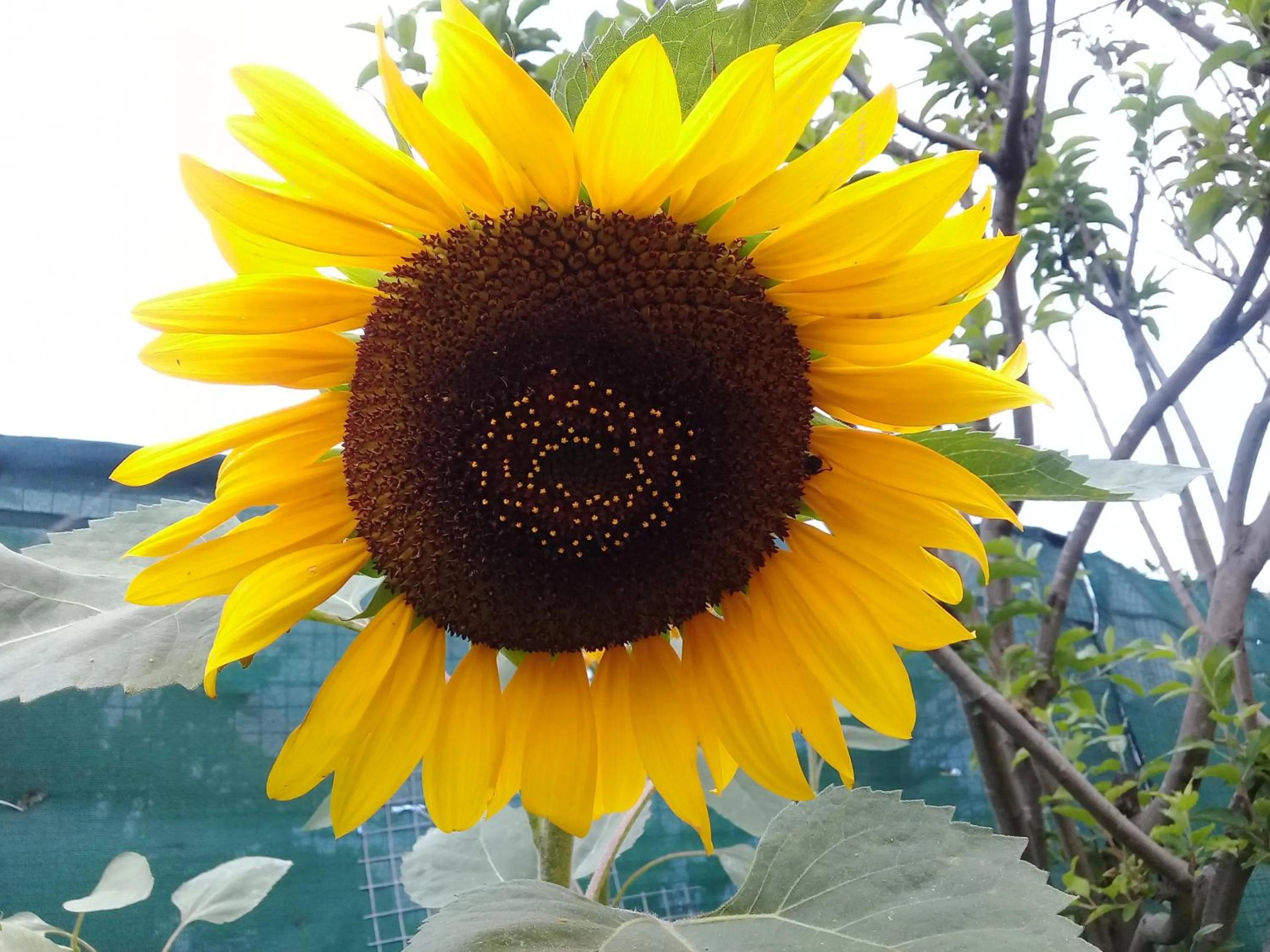 Restaurant/places to eat in Lighthouse Farm Backpackers Lodge