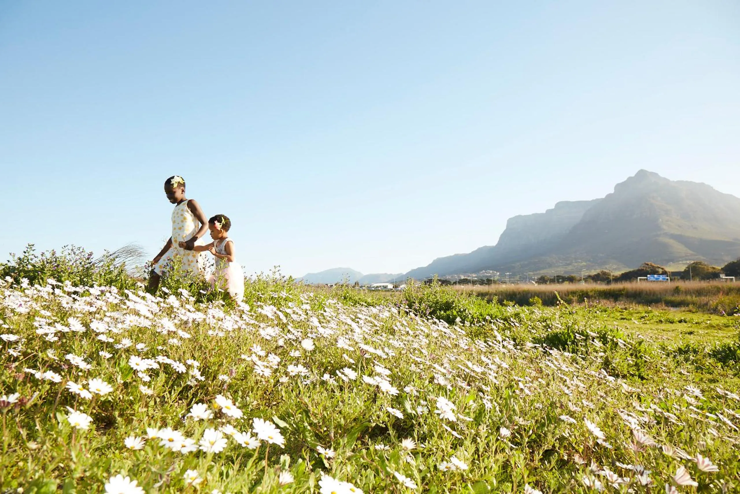 Natural landscape in Lighthouse Farm Backpackers Lodge