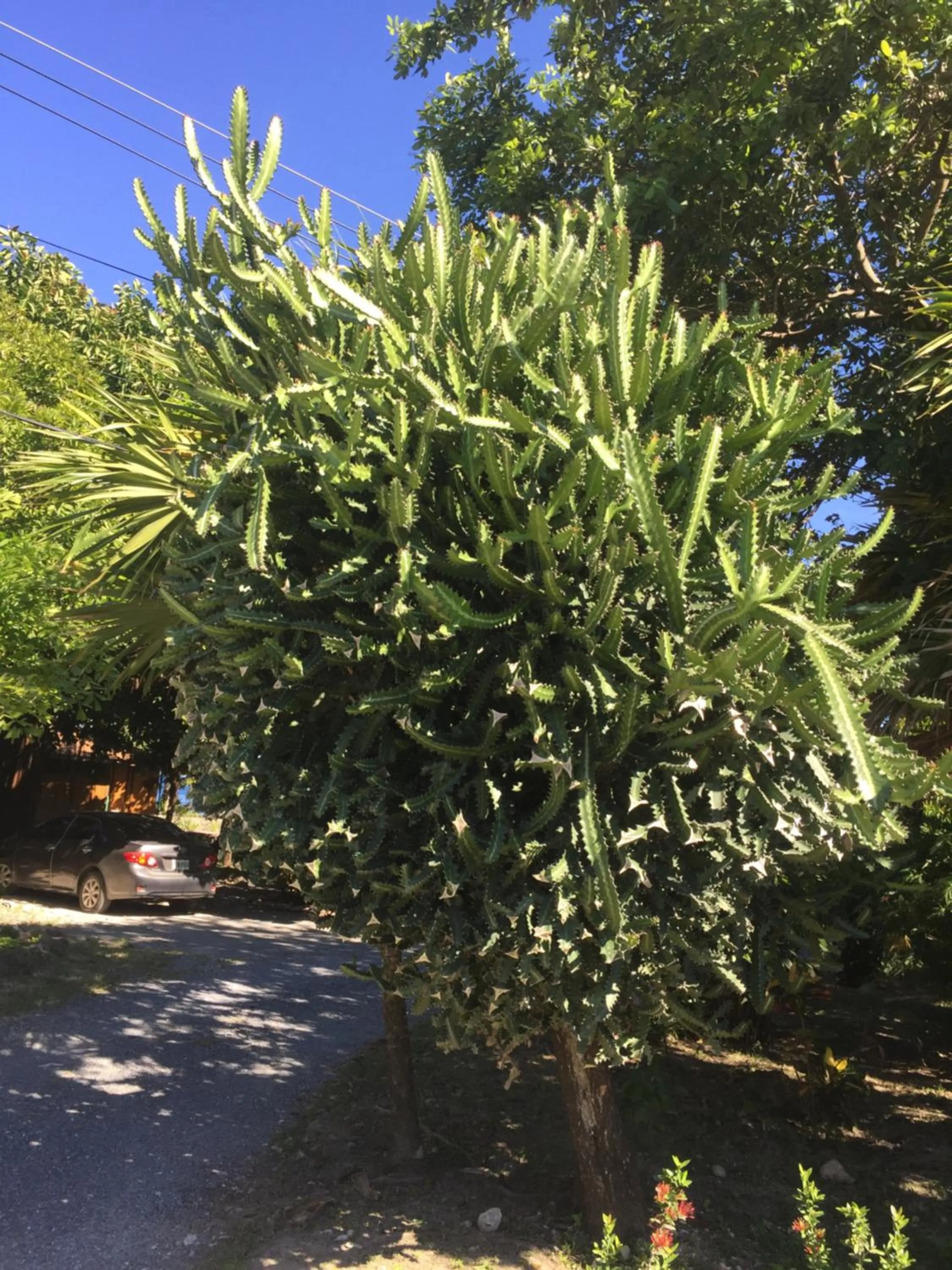 Natural landscape in Lands End