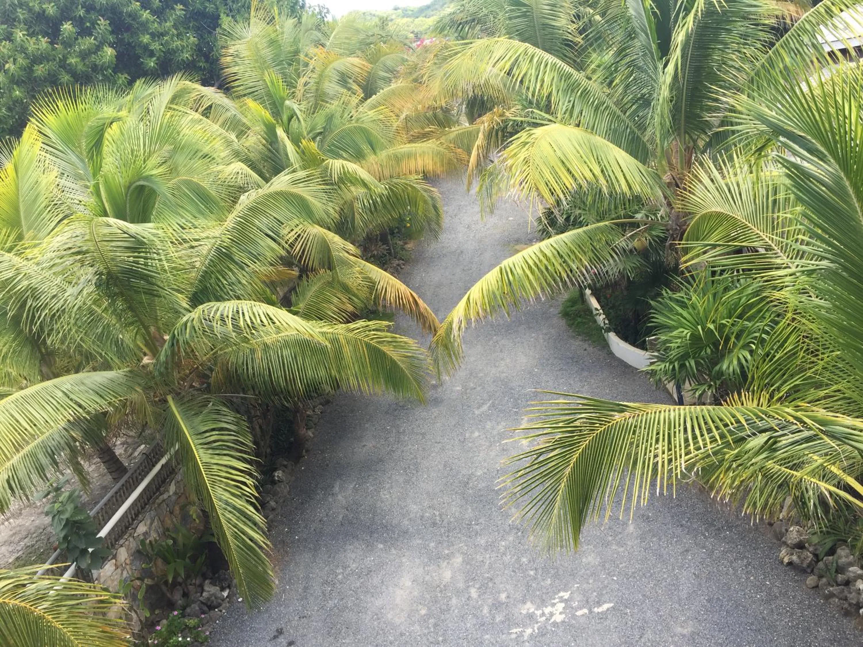 Natural landscape in Lands End