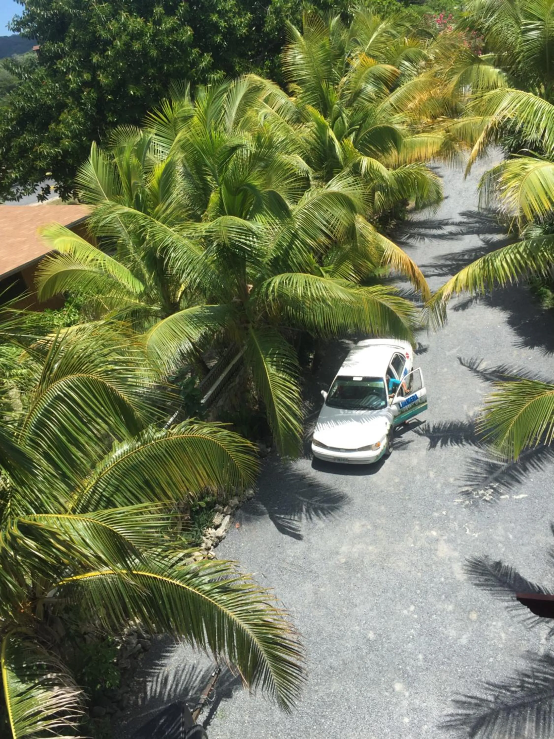 Property building in Lands End