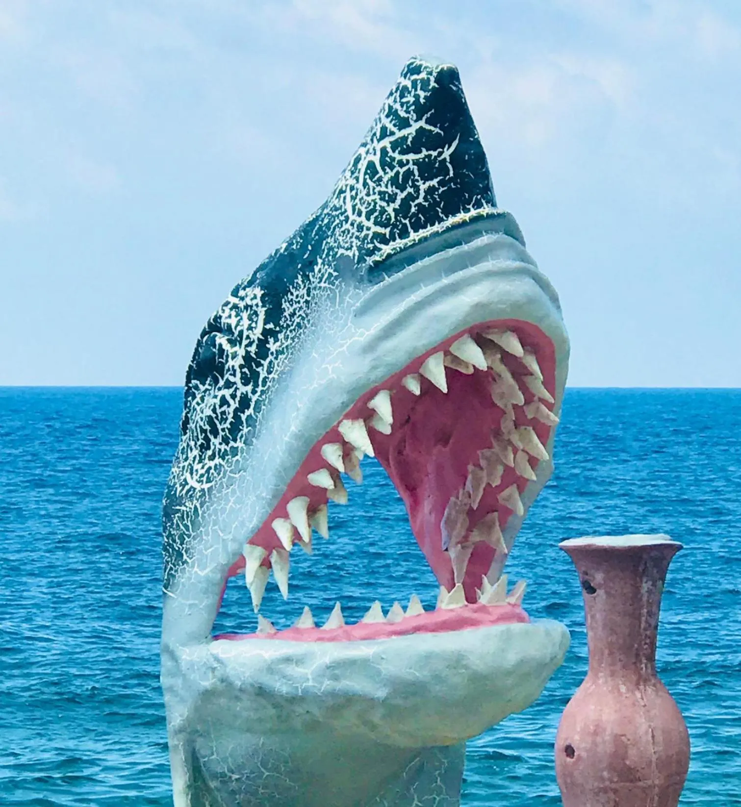 Animals in Lands End