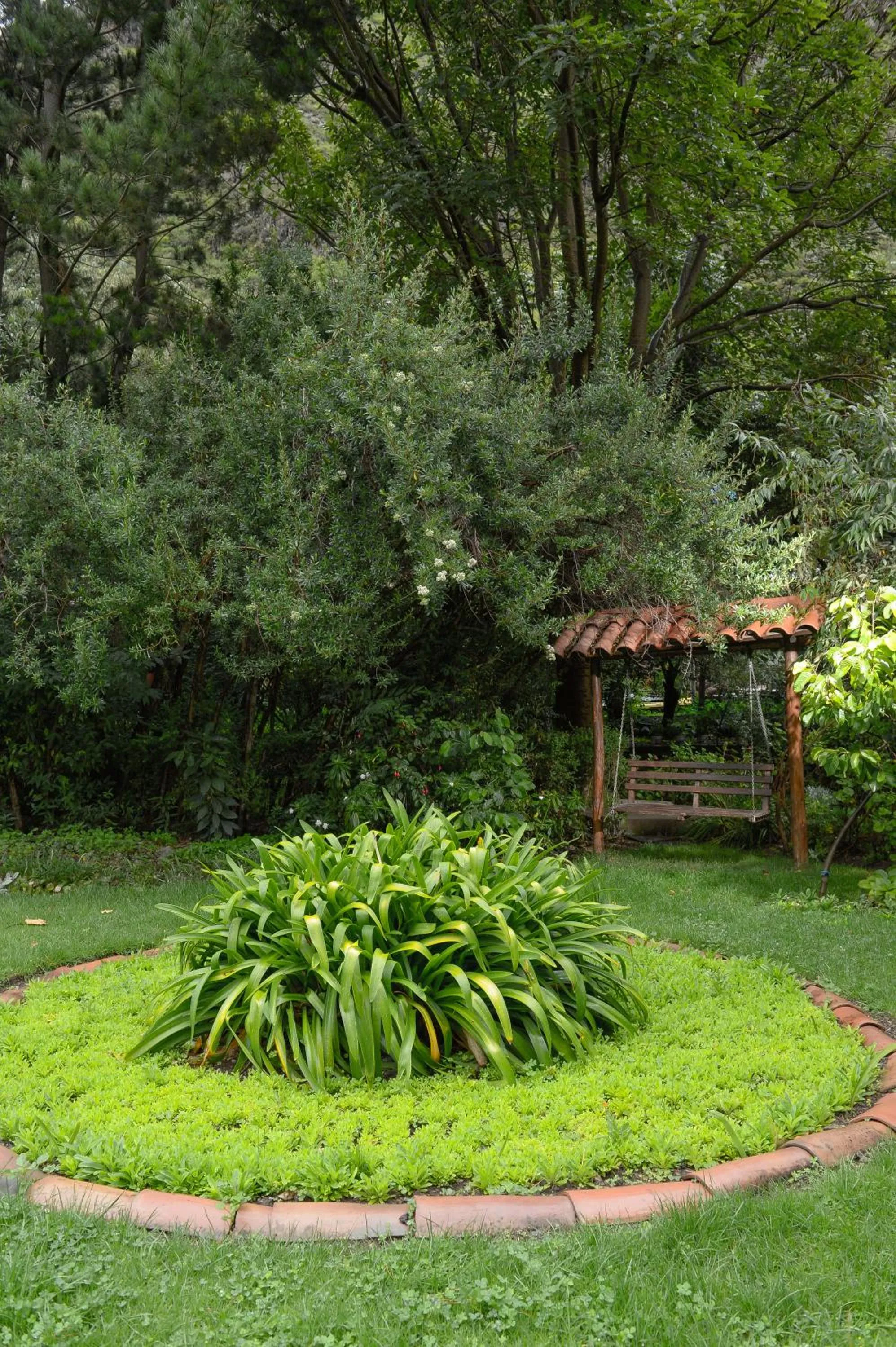 Garden in Hotel Samanapaq
