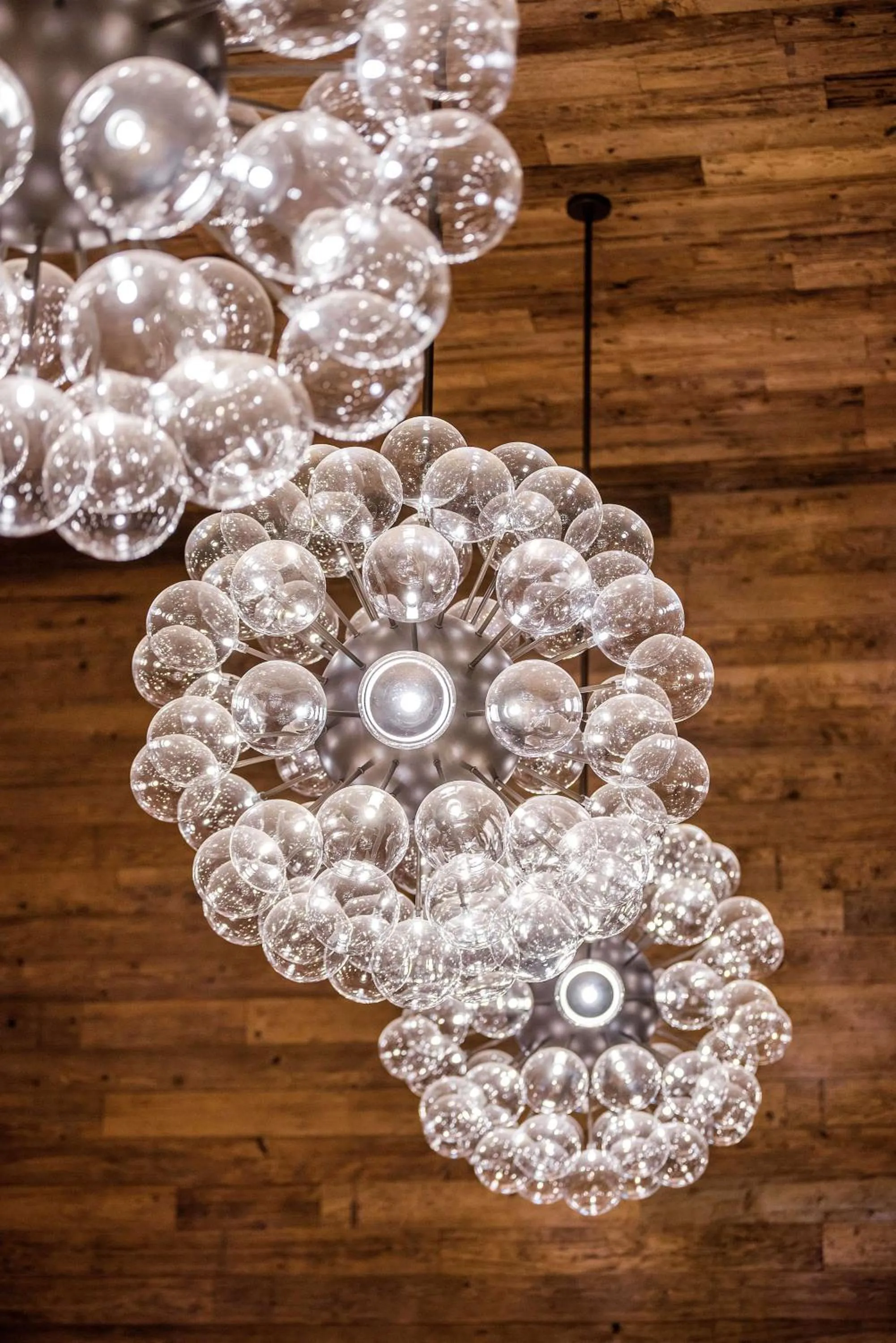 Lobby or reception in Sonesta Bee Cave Austin Hill Country