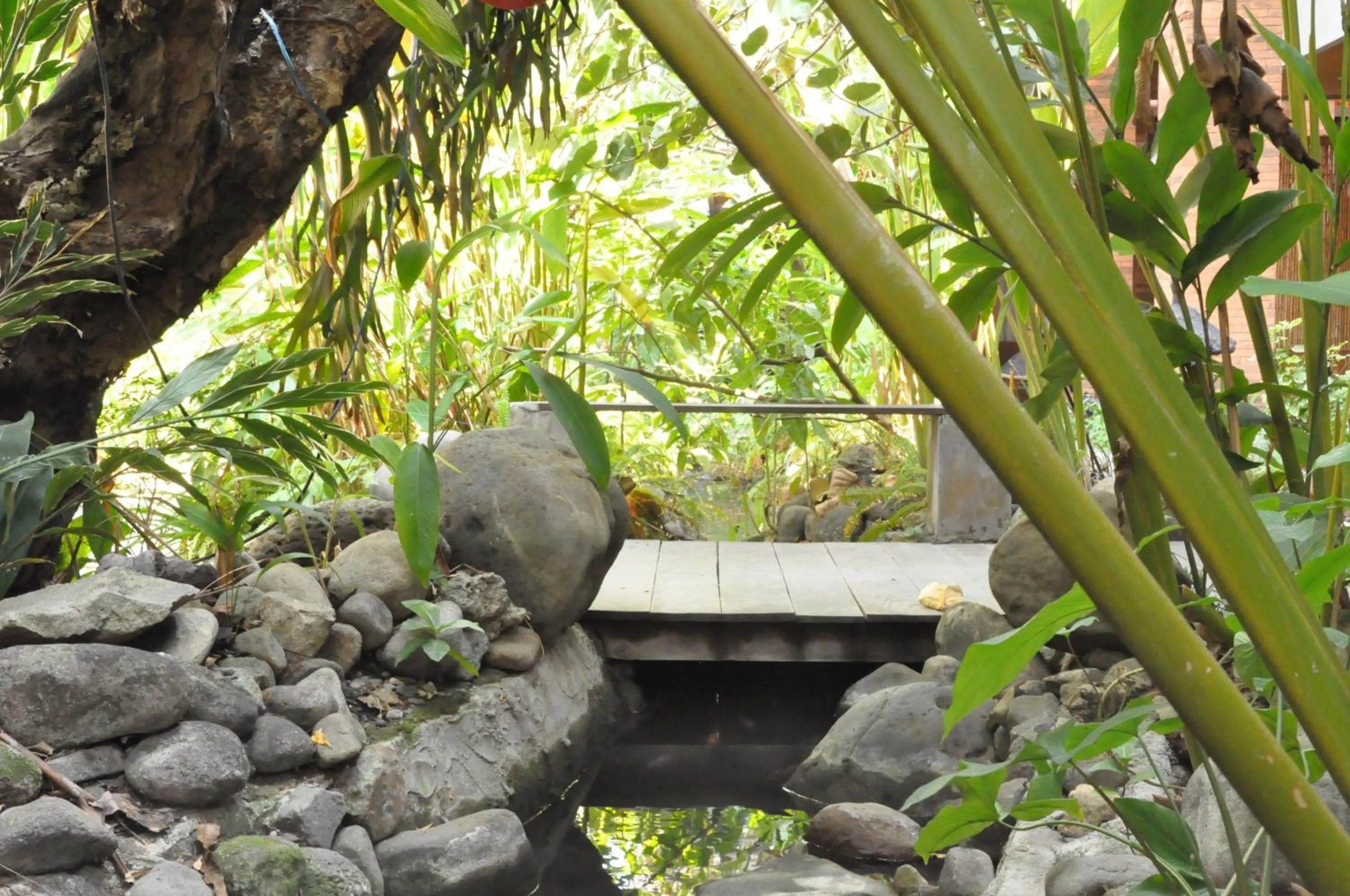 Natural landscape in Grand Mega Resort & Spa