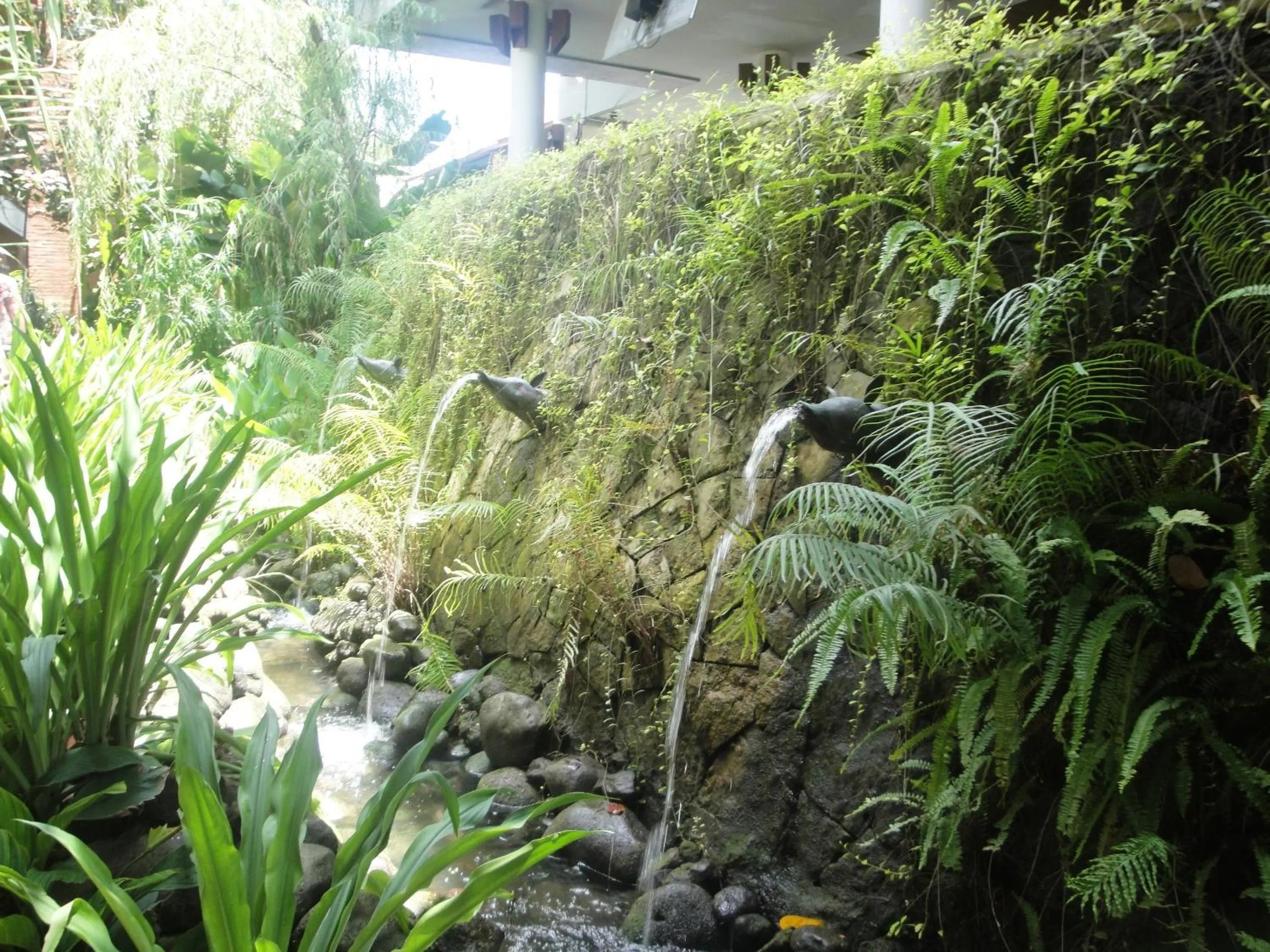 Area and facilities in Grand Mega Resort & Spa