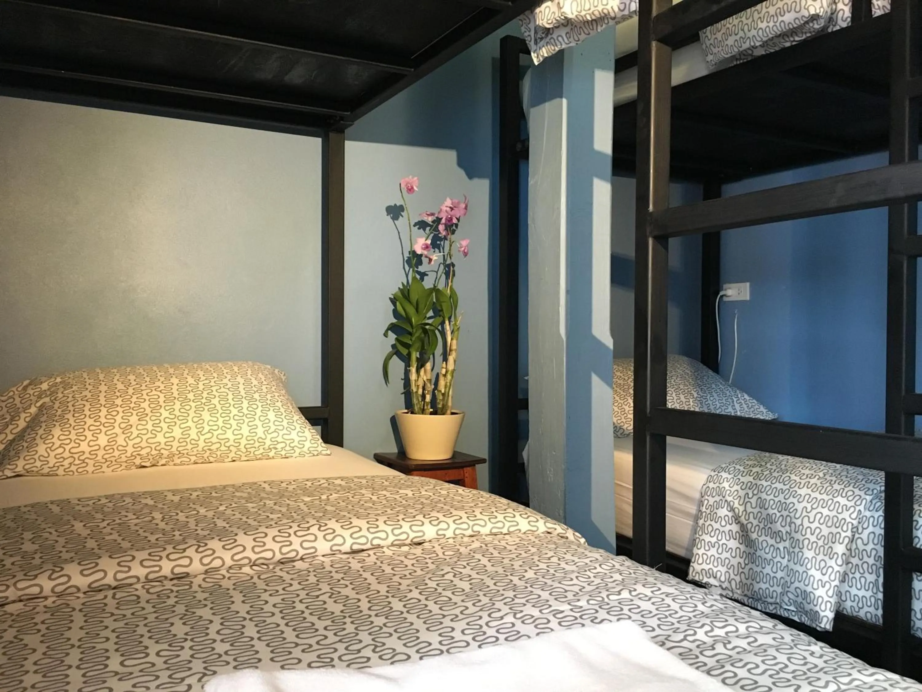 bunk bed, Bed in Blue Chang House