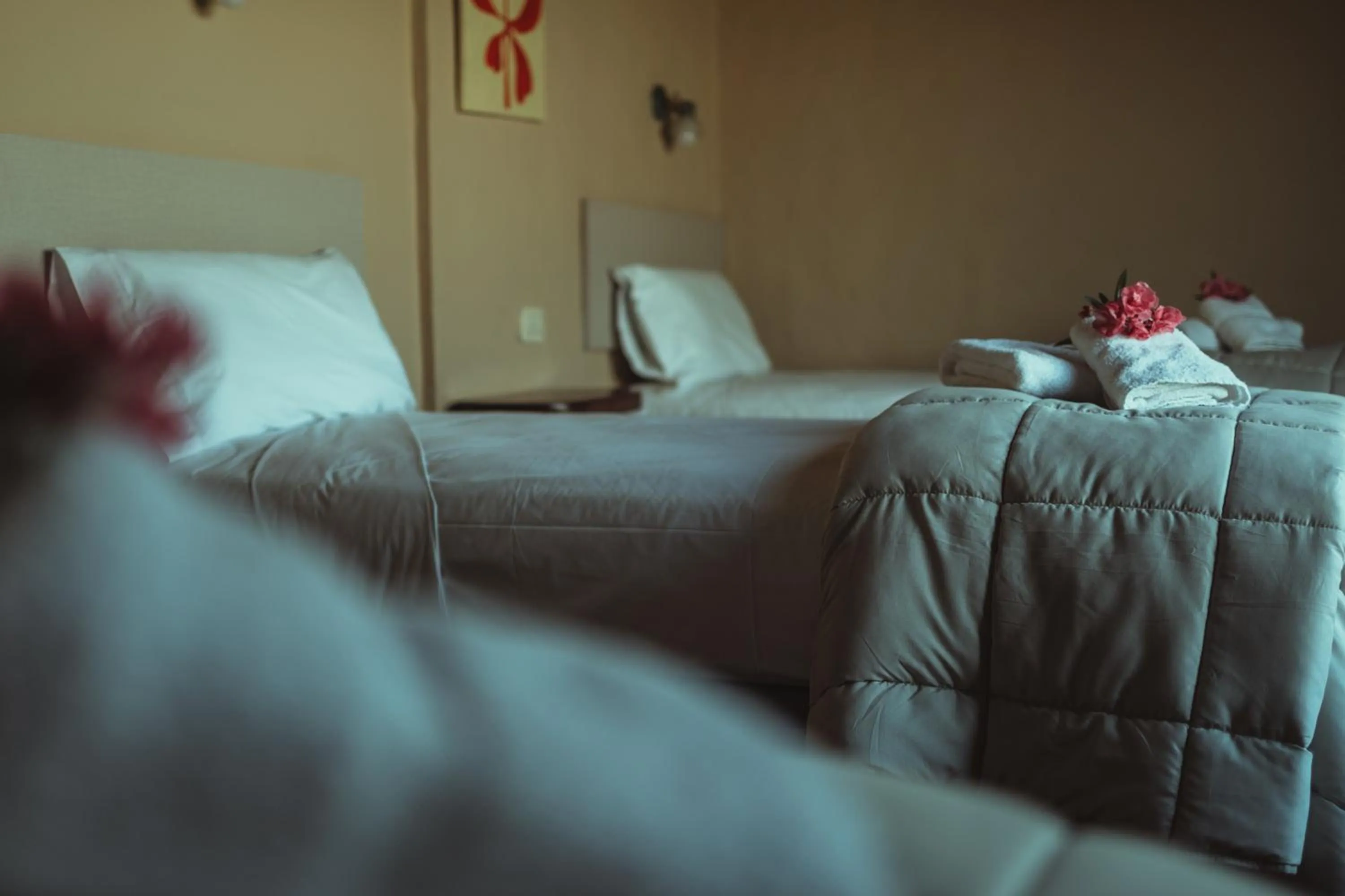 Photo of the whole room, Bed in Hacienda ALTO MONTE