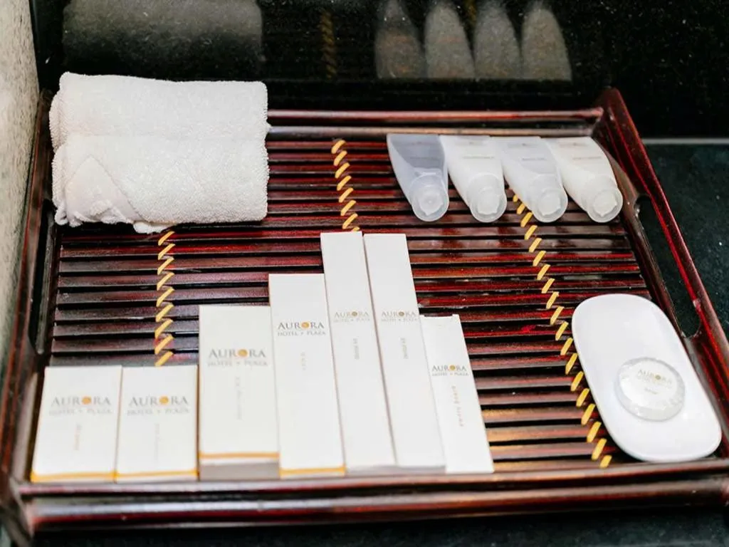 Bathroom in AURORA Hotel Plaza