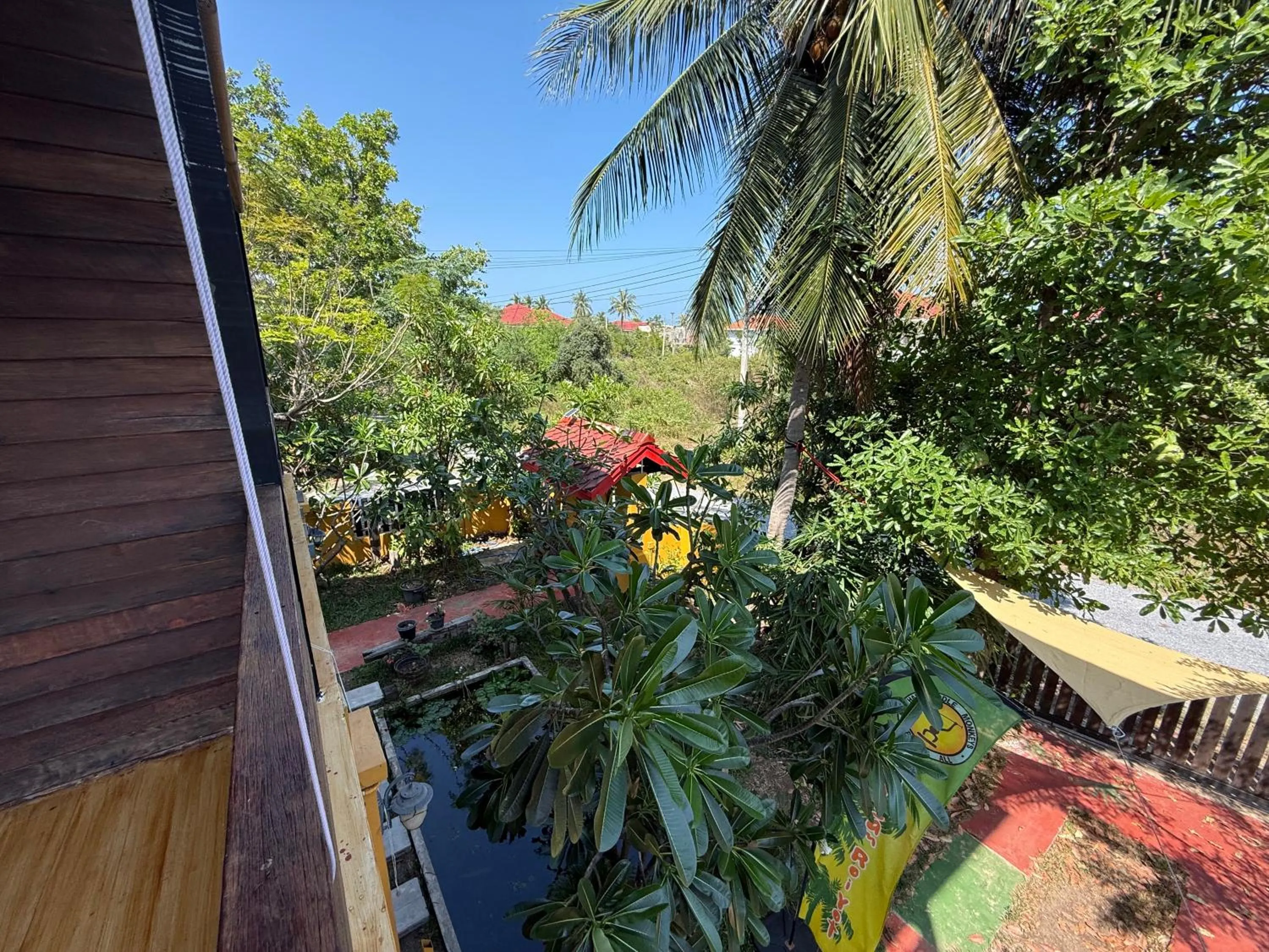 Garden in Golden Mango House