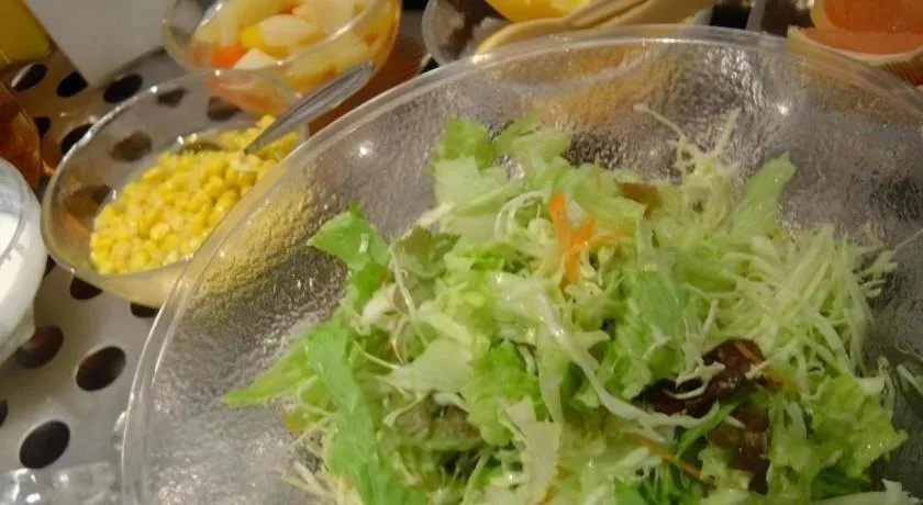 Hotel Ronshan Sapporo