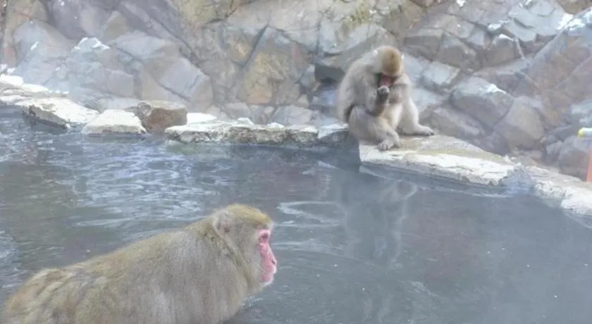 Sotetsu Fresa Inn Nagano eki Higashiguhci