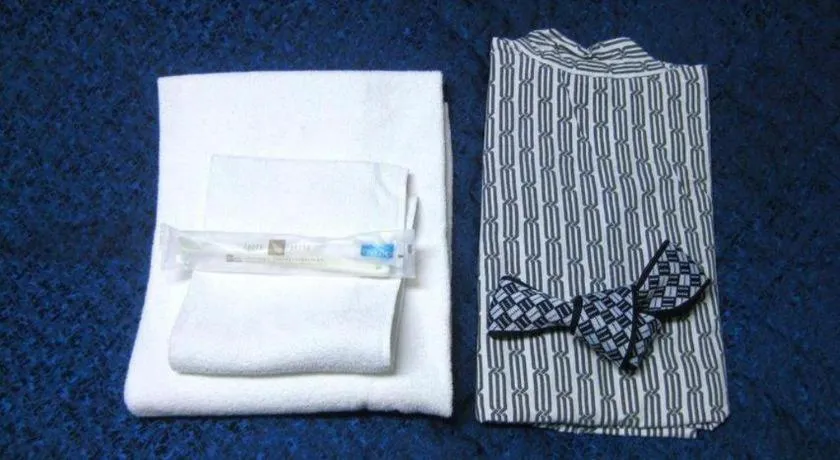 Tokyo Business Hotel