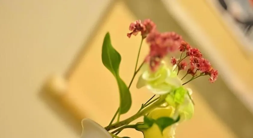 Hotel Myoken Tanaka Kaikan