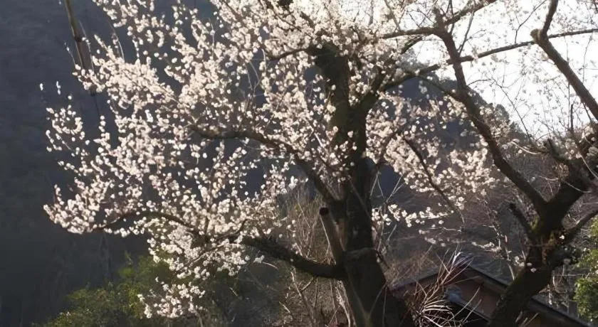 Hotel Myoken Tanaka Kaikan