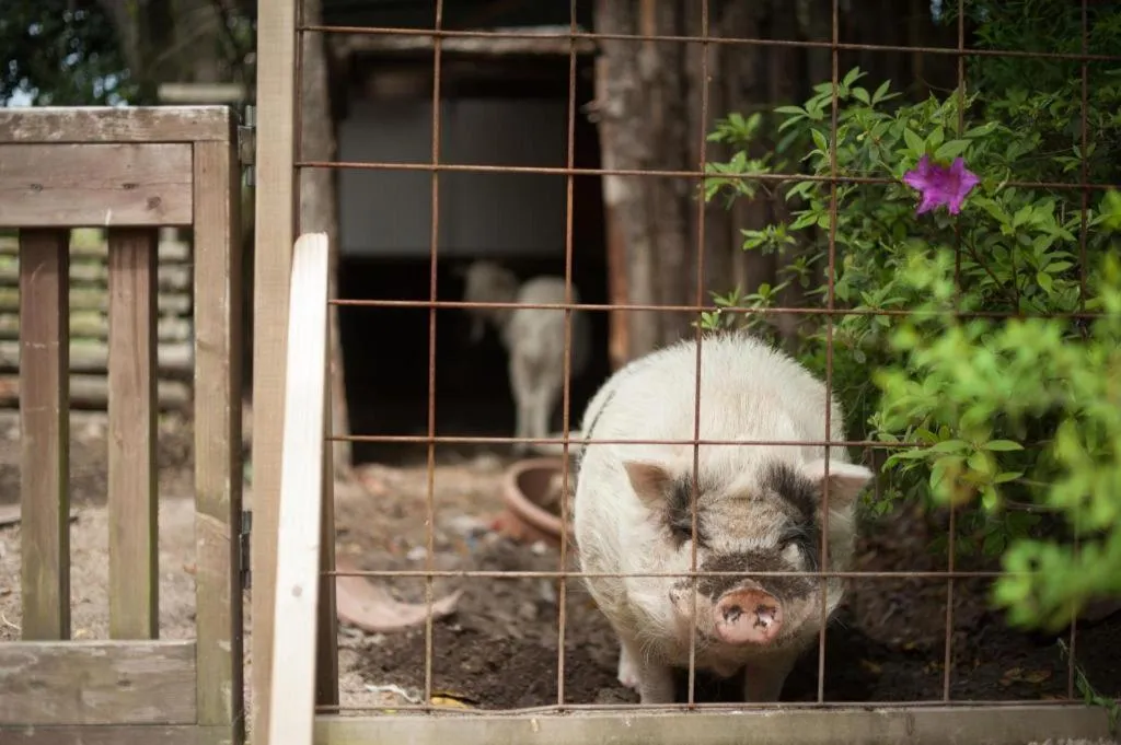 Secret Base Tokinokakera