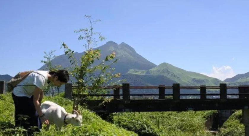 Secret Base Tokinokakera