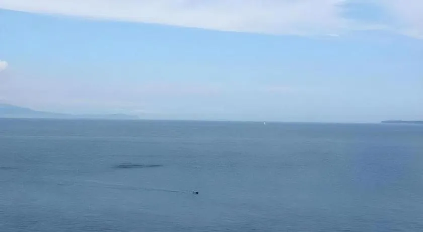 Luxury Wa Hotel Kaze No Kaori