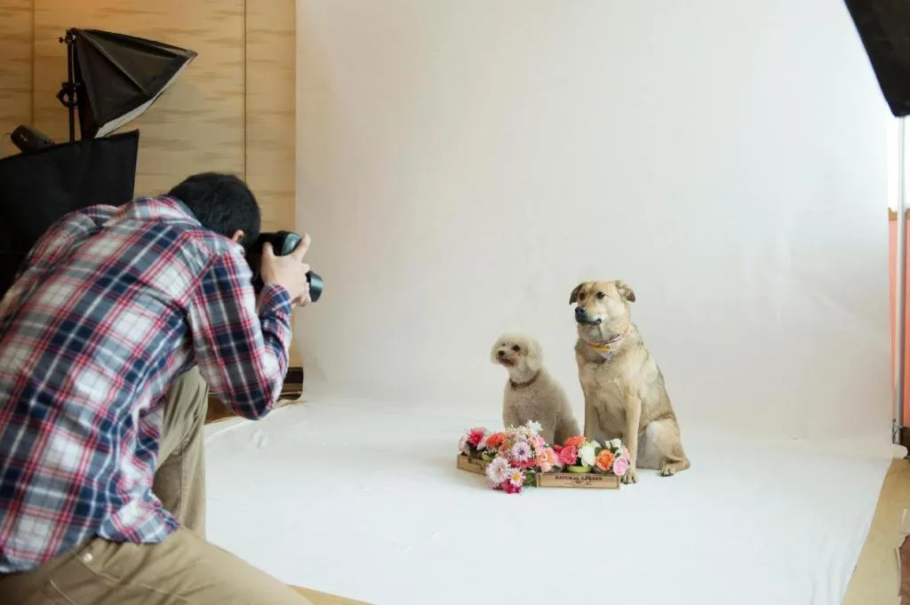 Izumigo Toba Dog Paradise Hotel