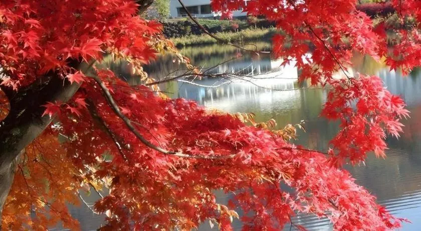 Hotel Harvest Tateshina