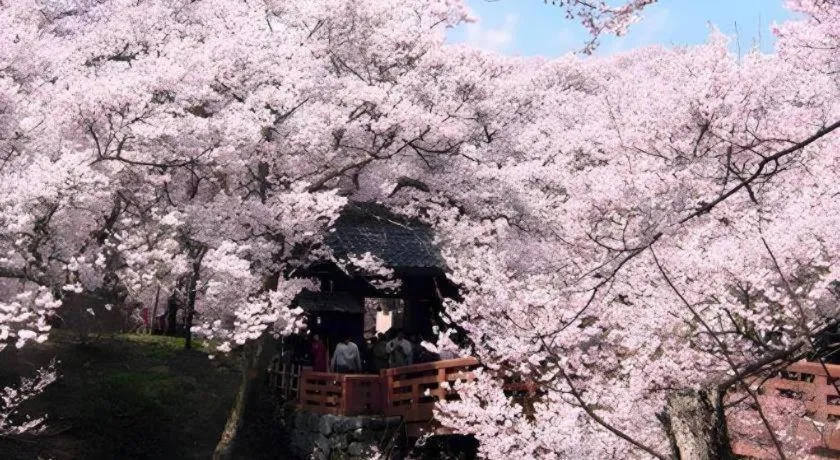 Hotel Harvest Tateshina