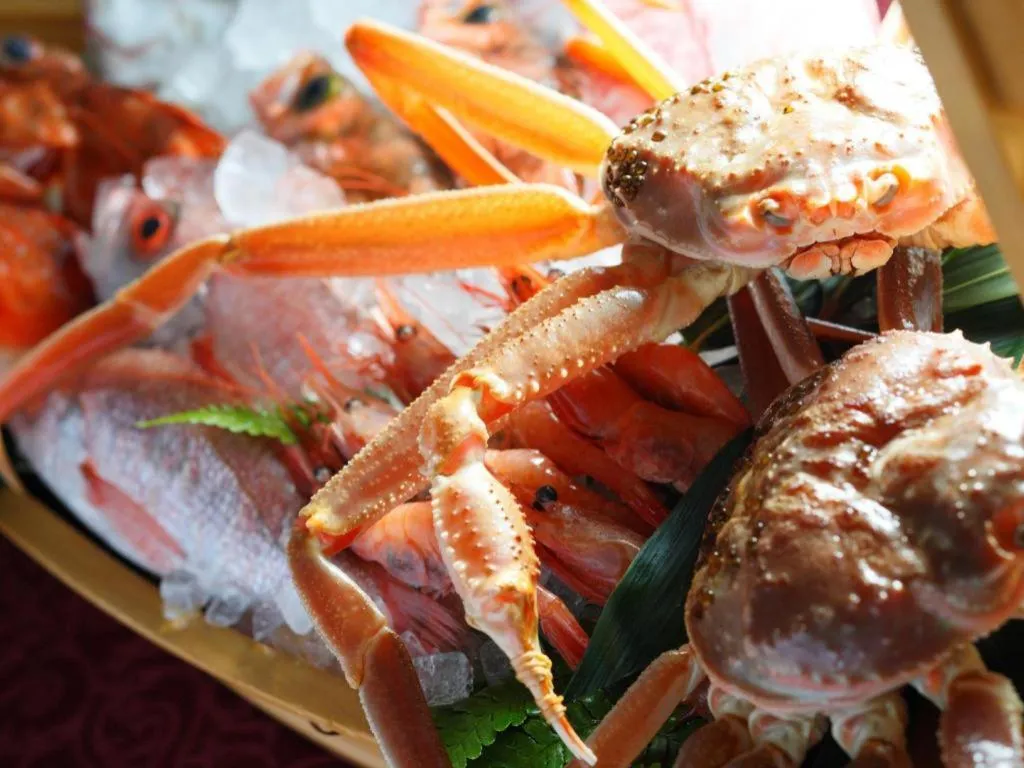 Centrale Hotel Kyotango