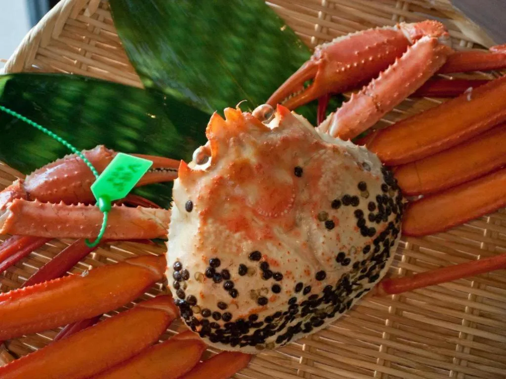 Centrale Hotel Kyotango