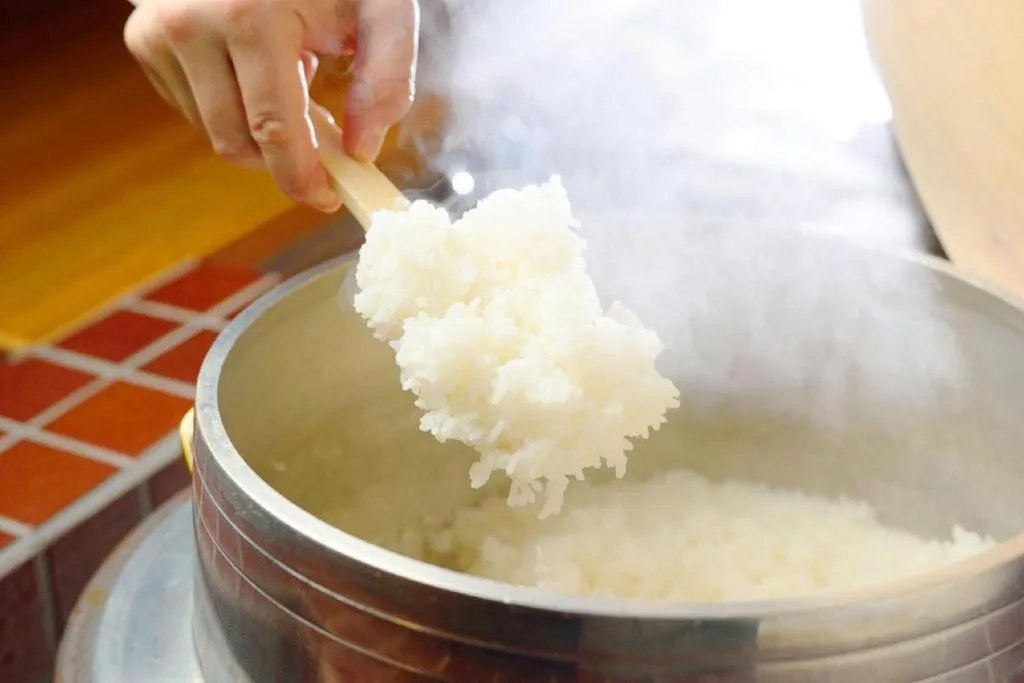 Otaru Furukawa Hotel