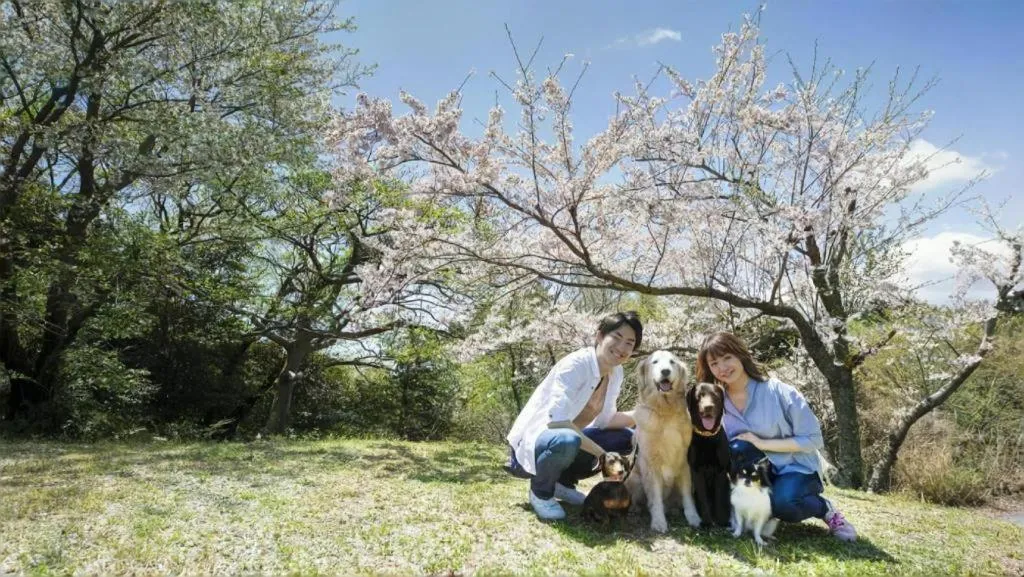 Izukogen Wanwan Paradise Condominium