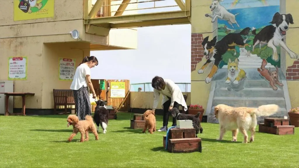 Izukogen Wanwan Paradise Condominium