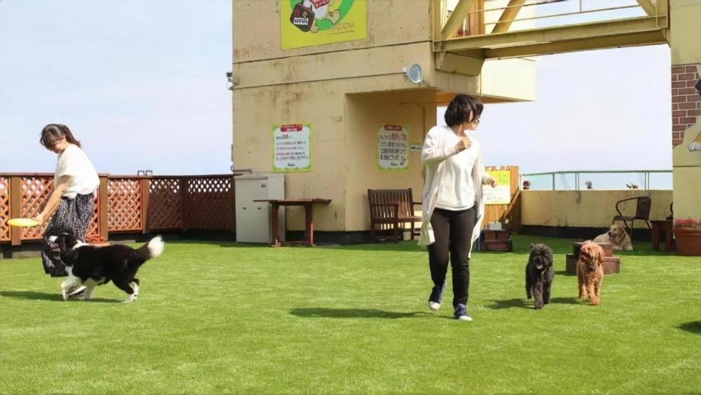 Izukogen Wanwan Paradise Condominium